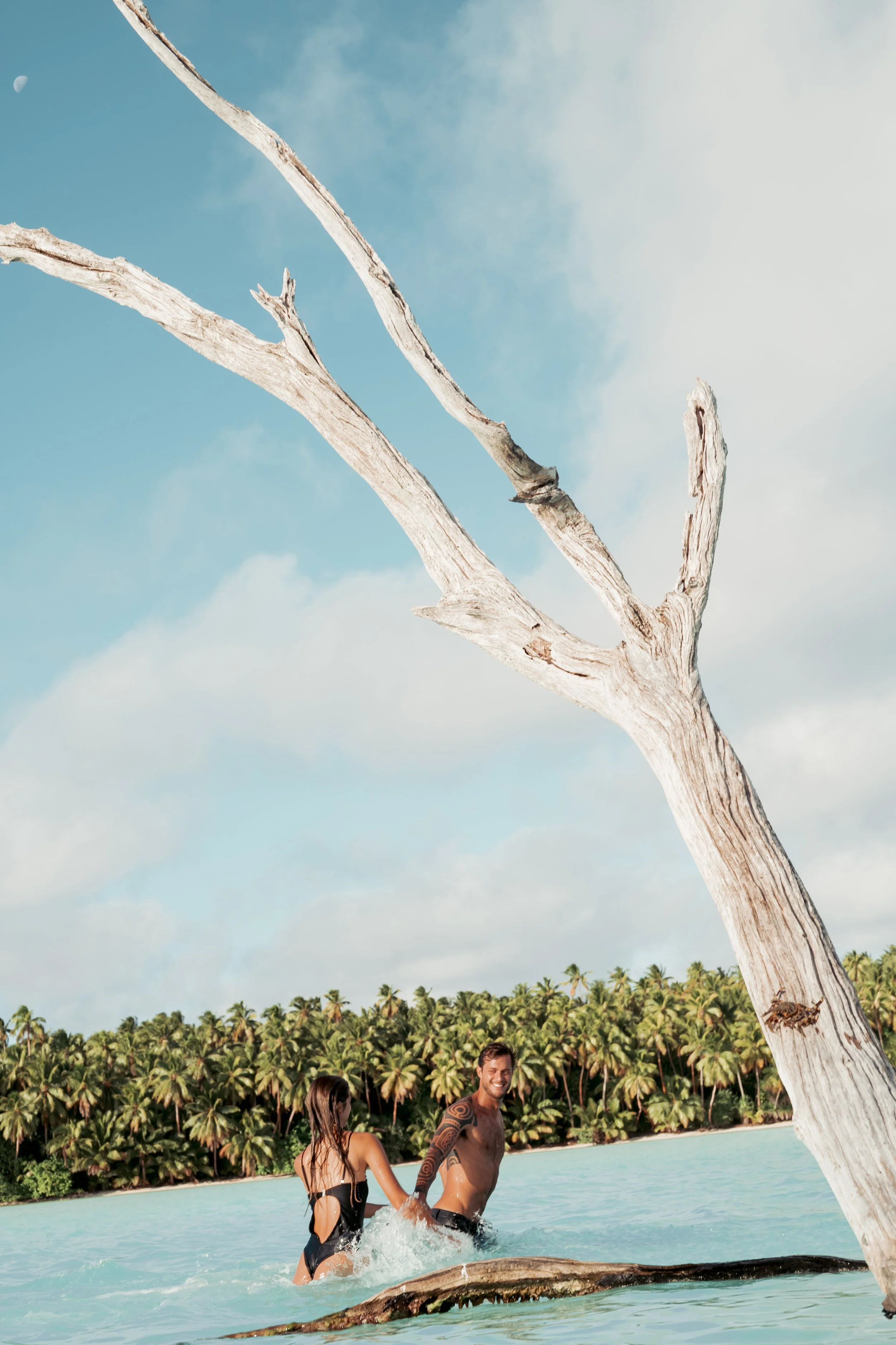 Te Manu Hiri Campaign for The Brando