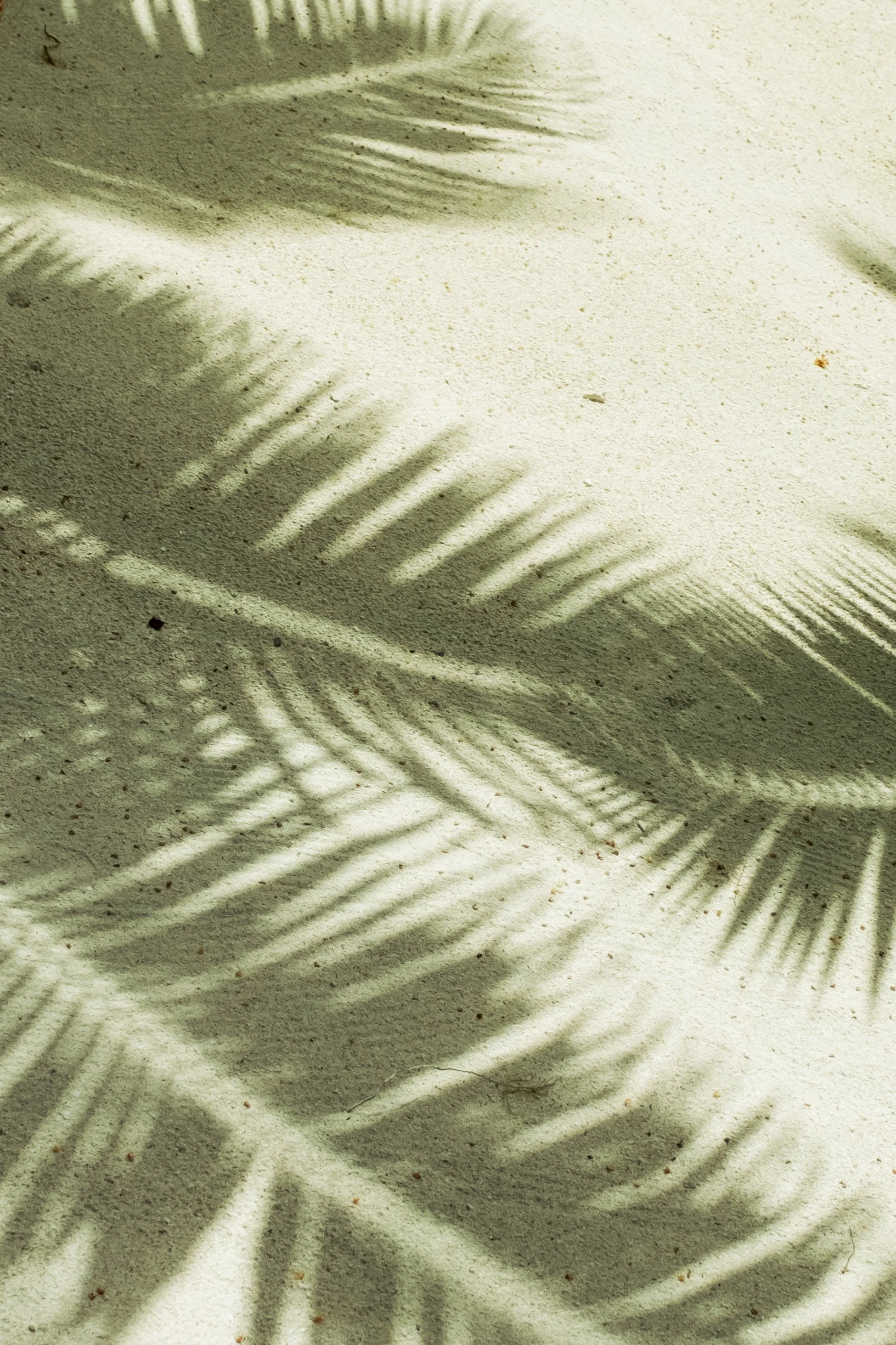 DSCF0818.jpg