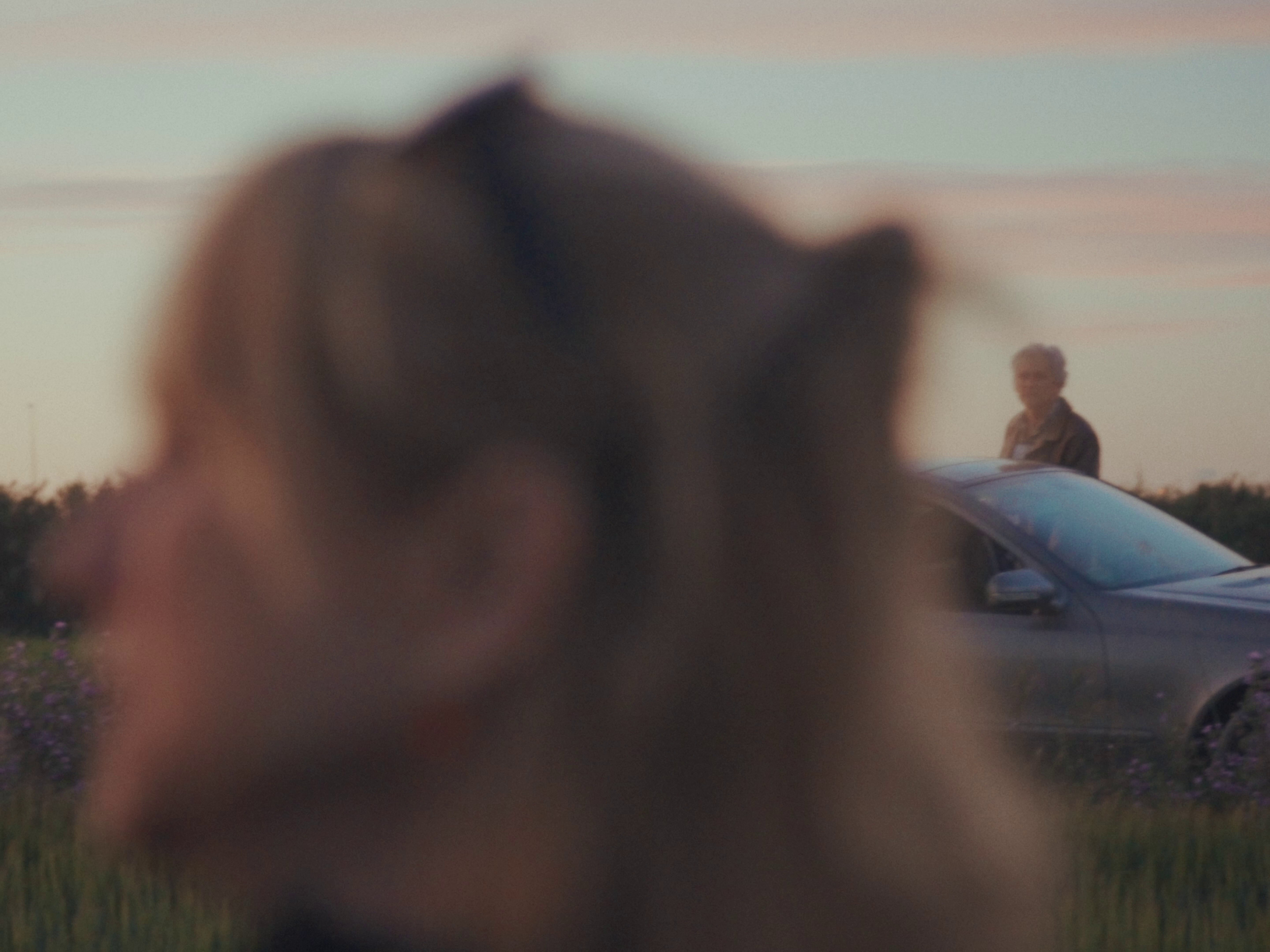 Las Veces que Volvimos (dir. Marta Gayarre. Teaser, 2026)