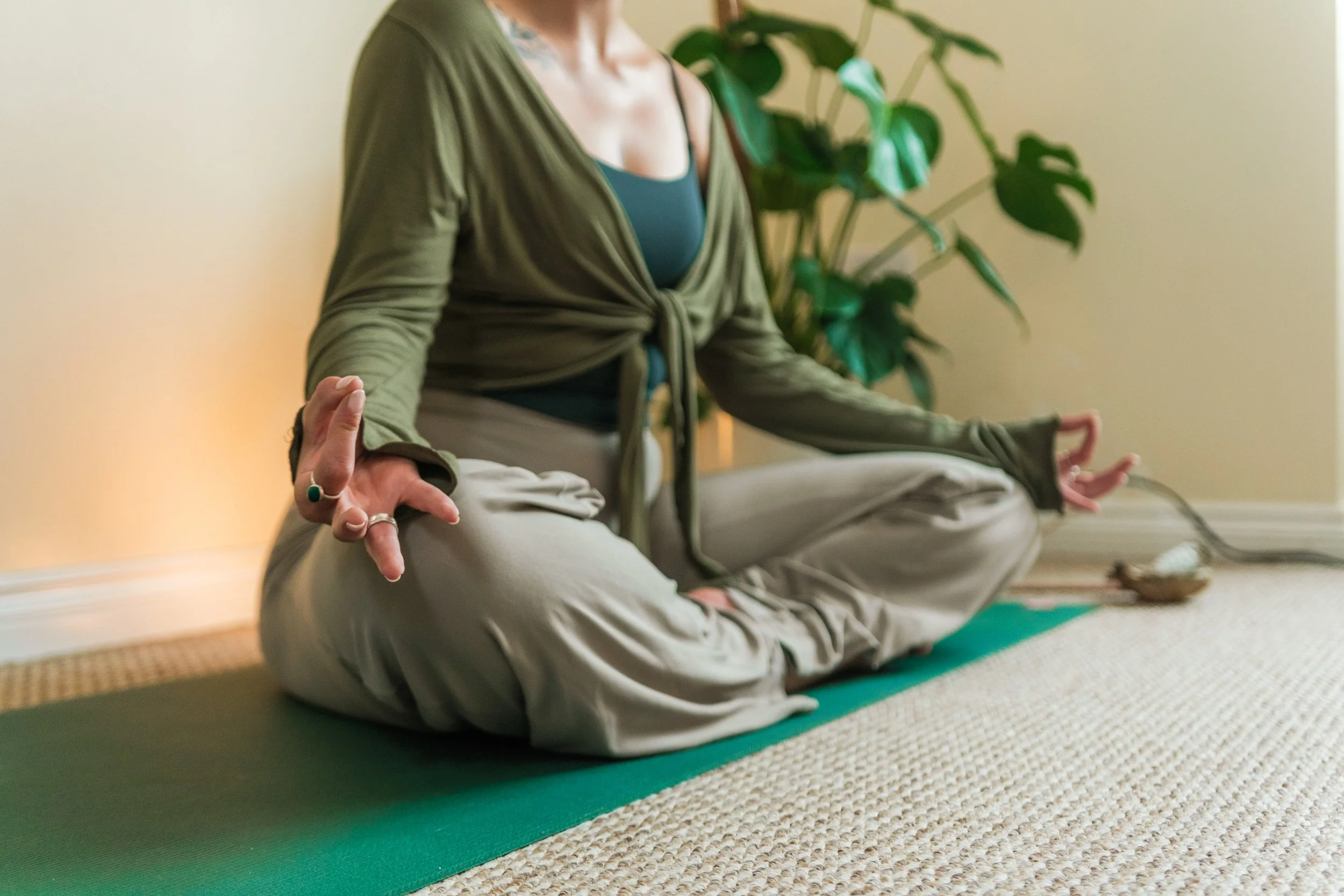 The Vagus Nerve &amp; Yoga