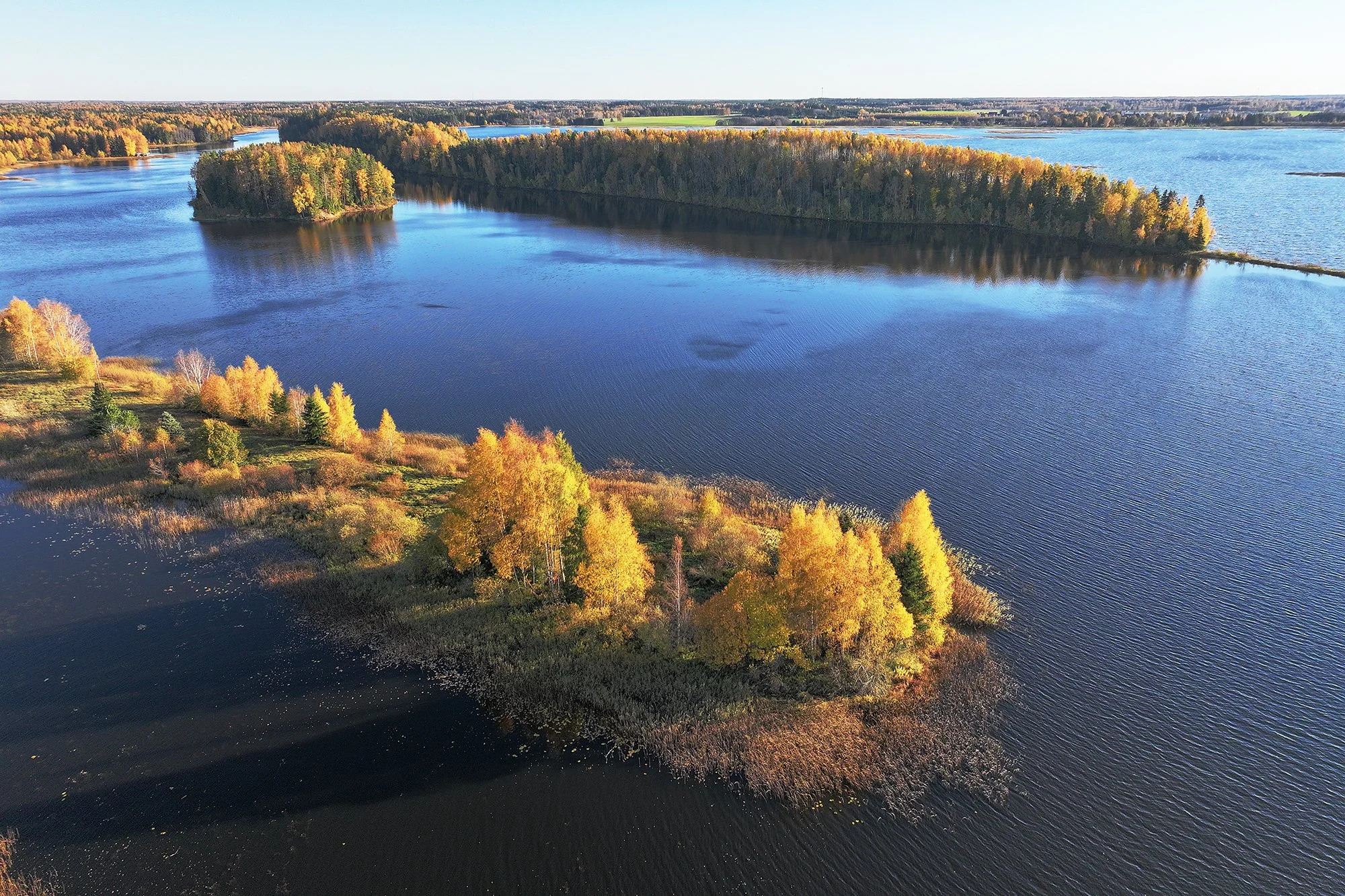 "Sügispäike" Harjumaa 2024