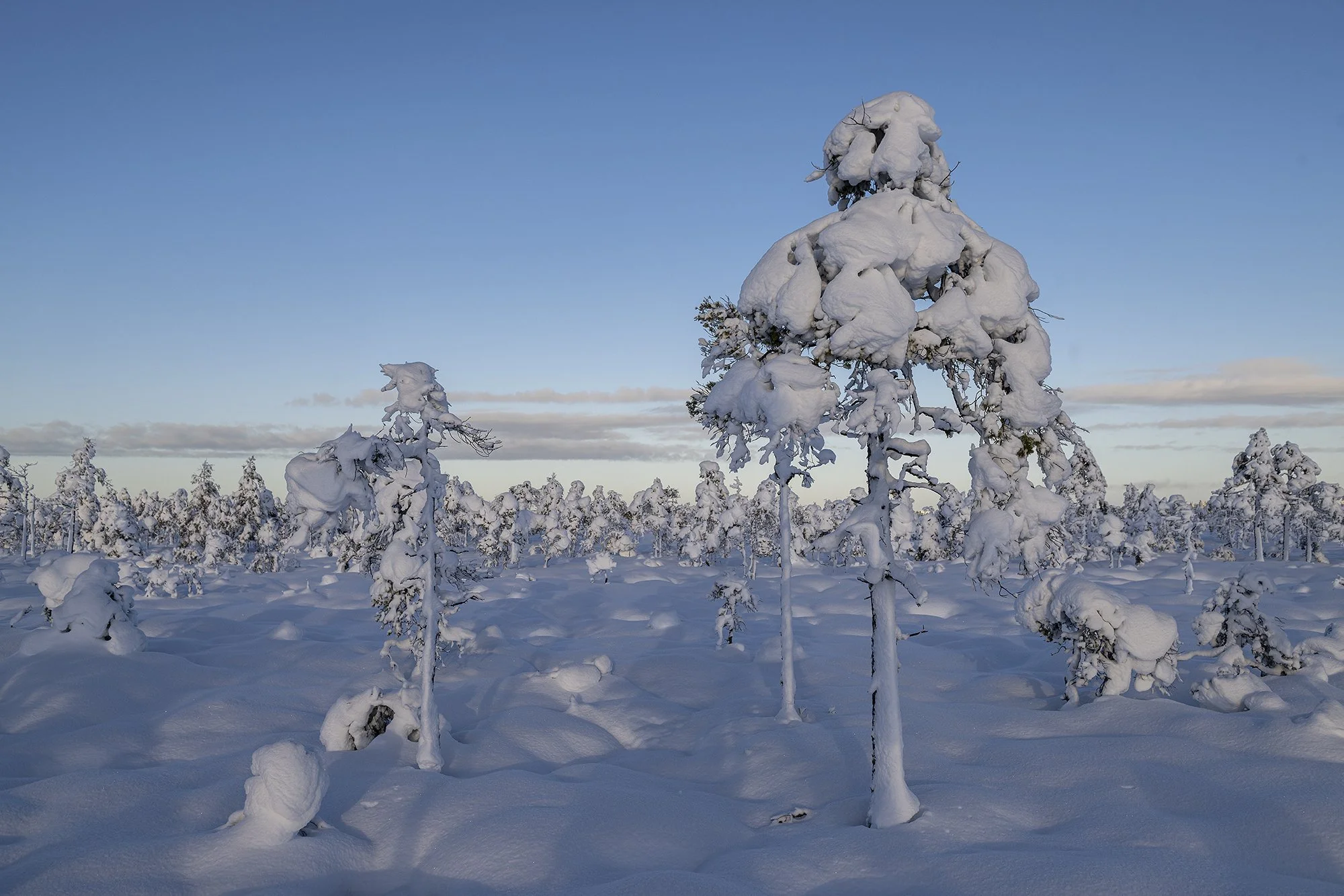 "Talvine raba" Kõrvemaa 2024