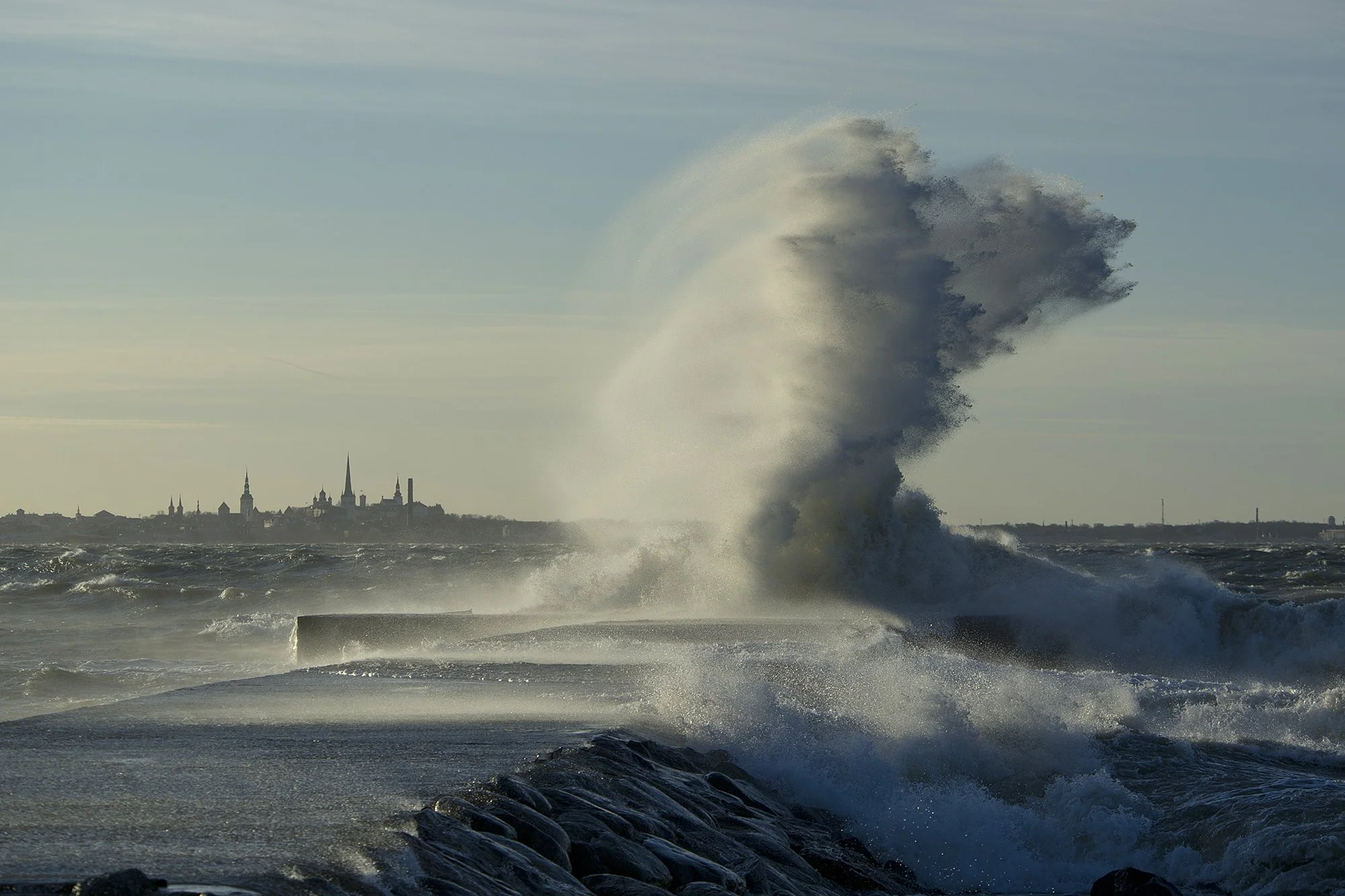 "Torm" Merivälja, Eesti 2011