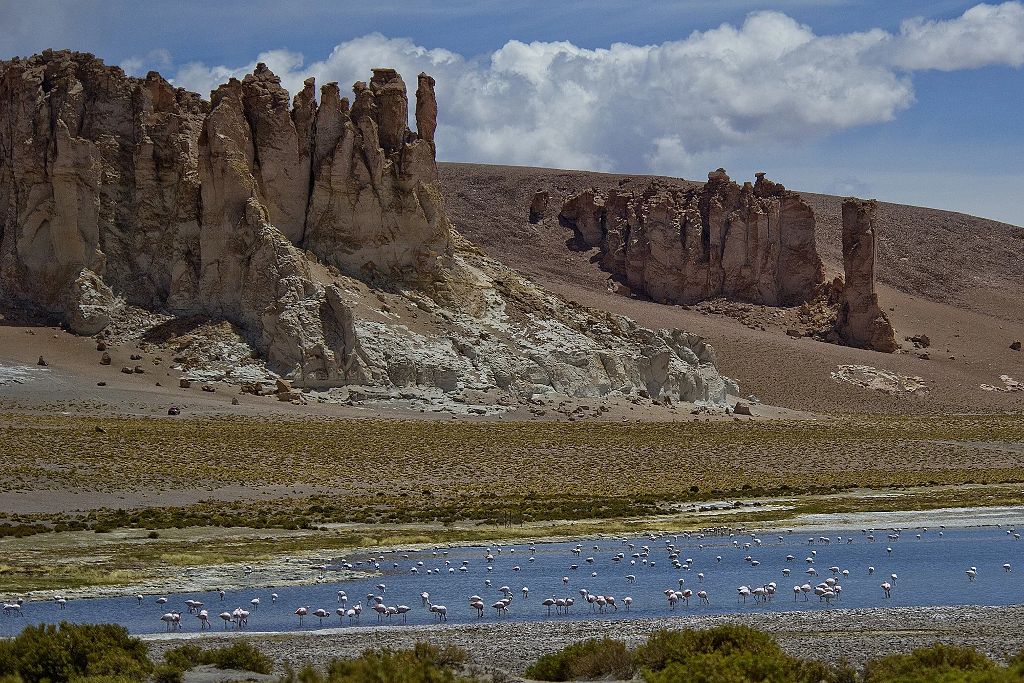 "Soolajärv flamingodega". Atacama. Tšiili. 2012