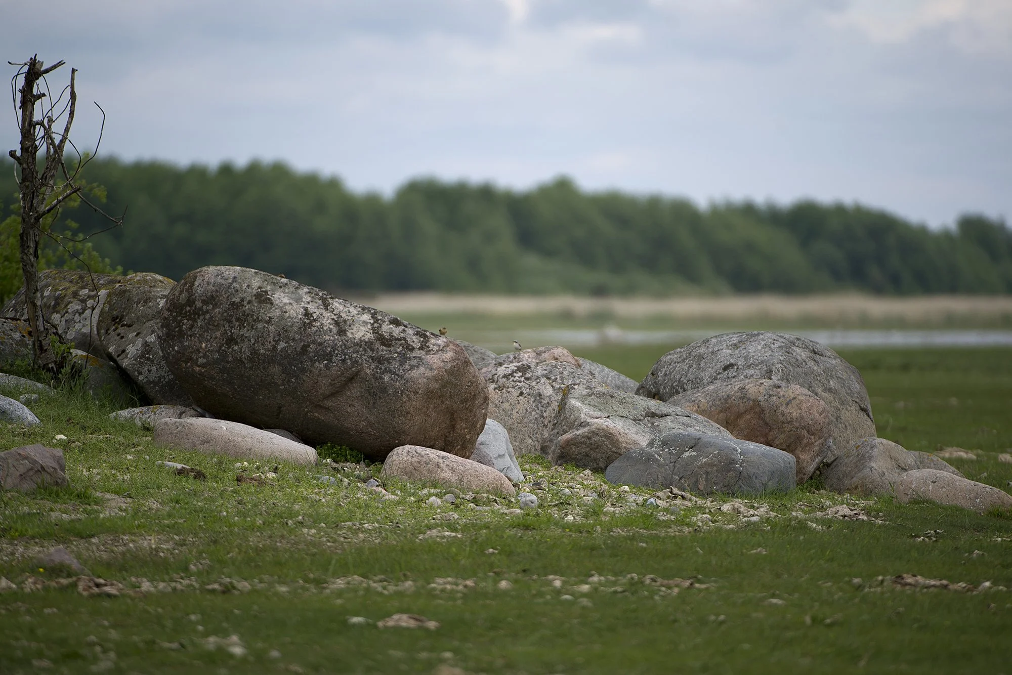 "Maastik kividega" Kihnu 2021