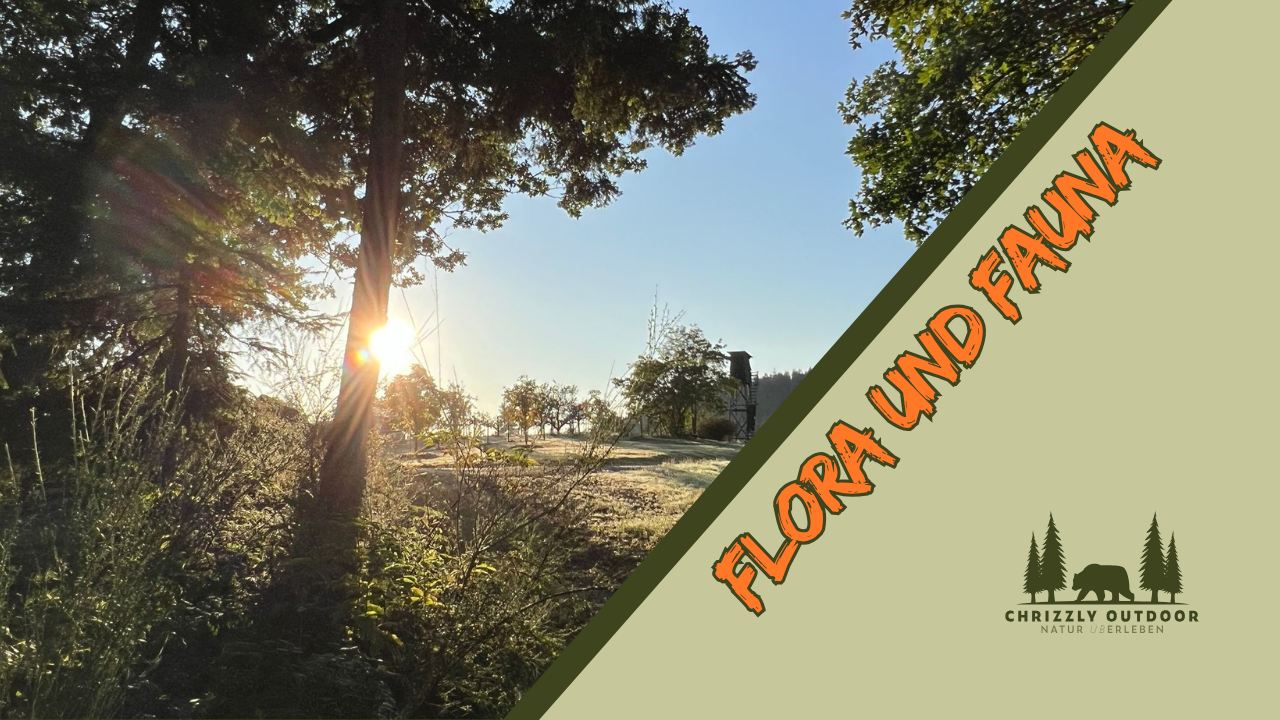 CO_Flora und Fauna.png