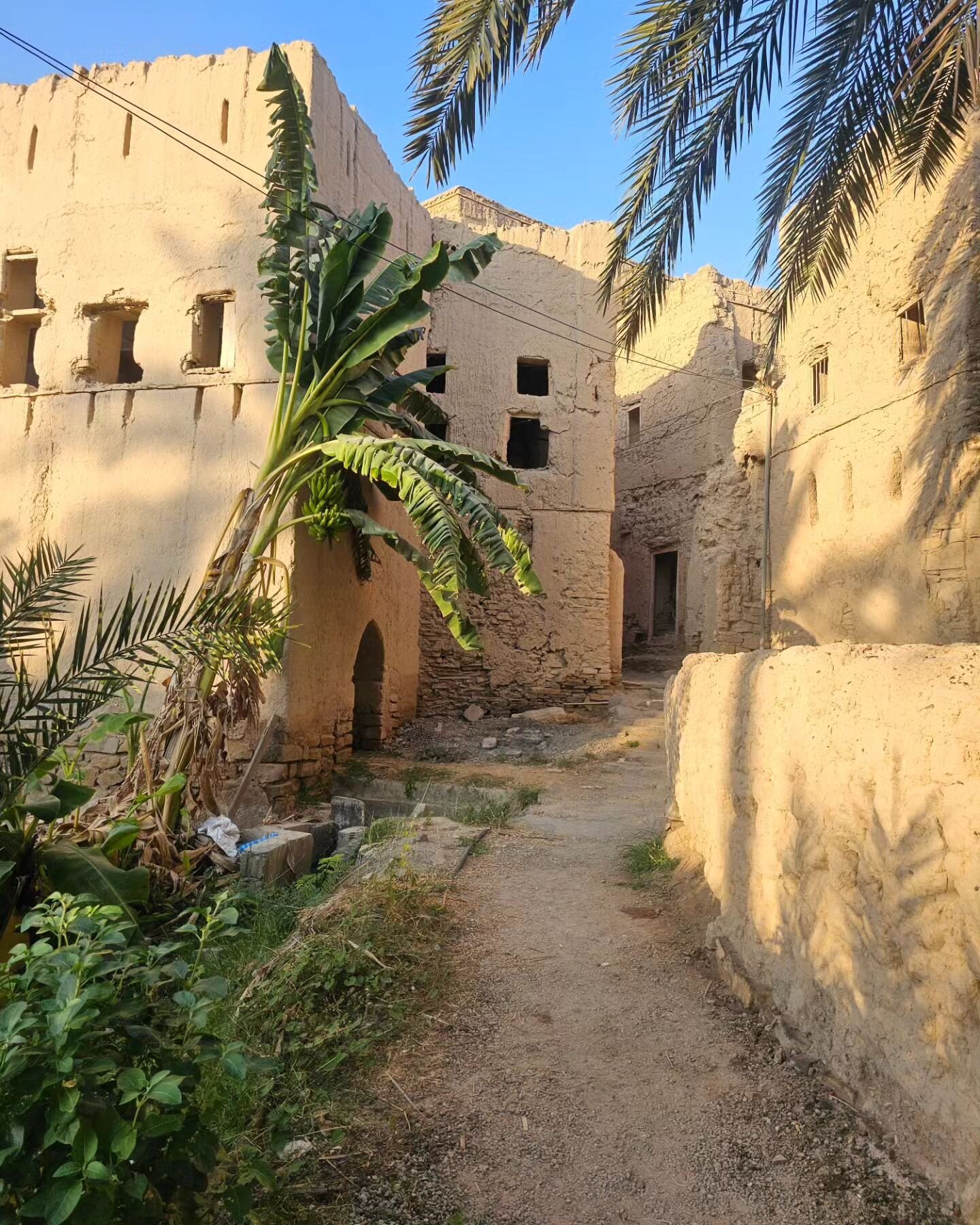 The highlight of today's travels: Birkat Al Mouz, an old Omani mud-brick village sitting above a gorgeous oasis. What a treasure.