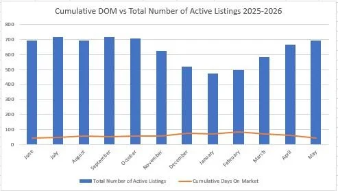 CDOMActive.JPG