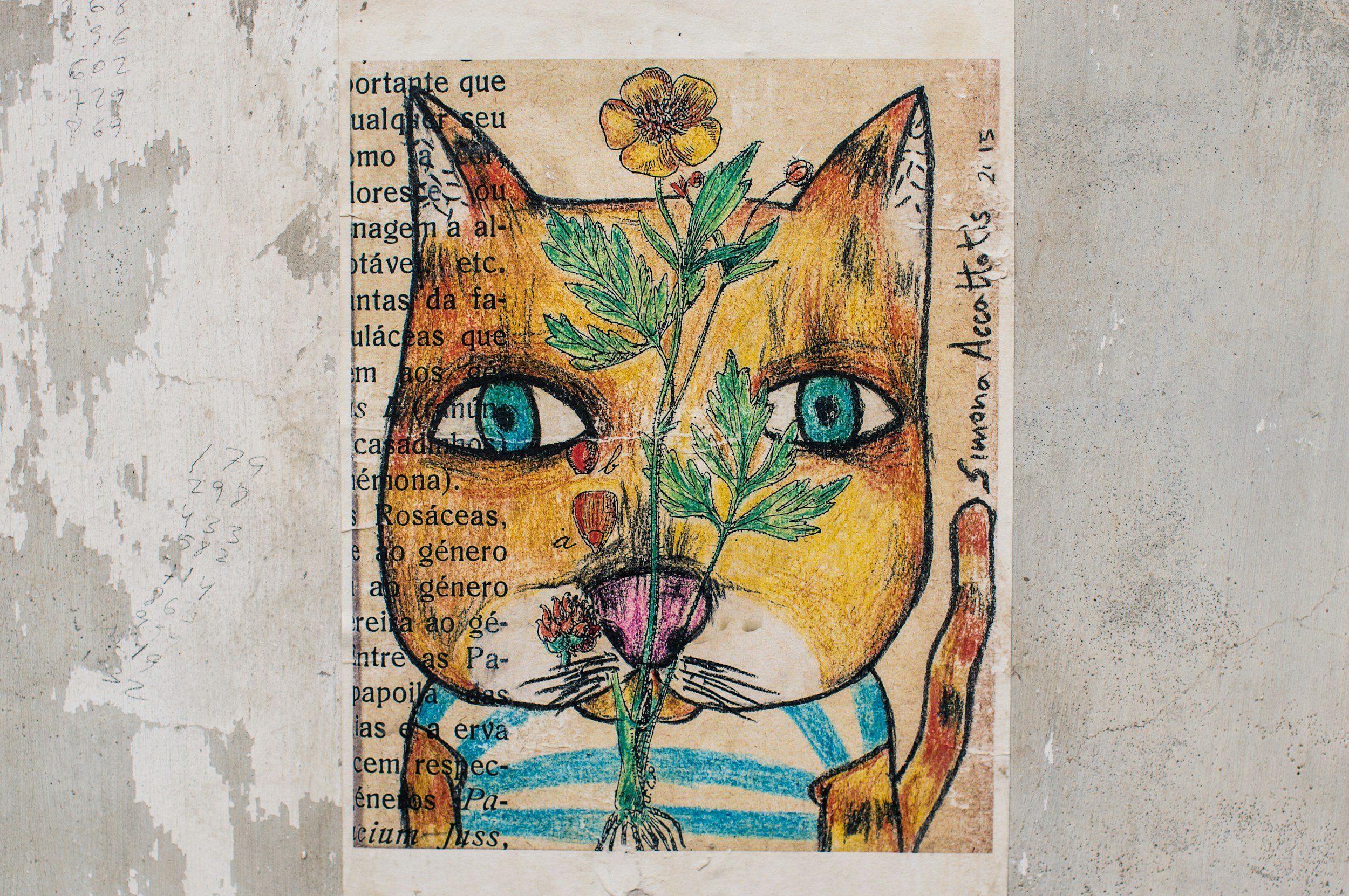 I Bail the Cat from Rabidity and other poems.