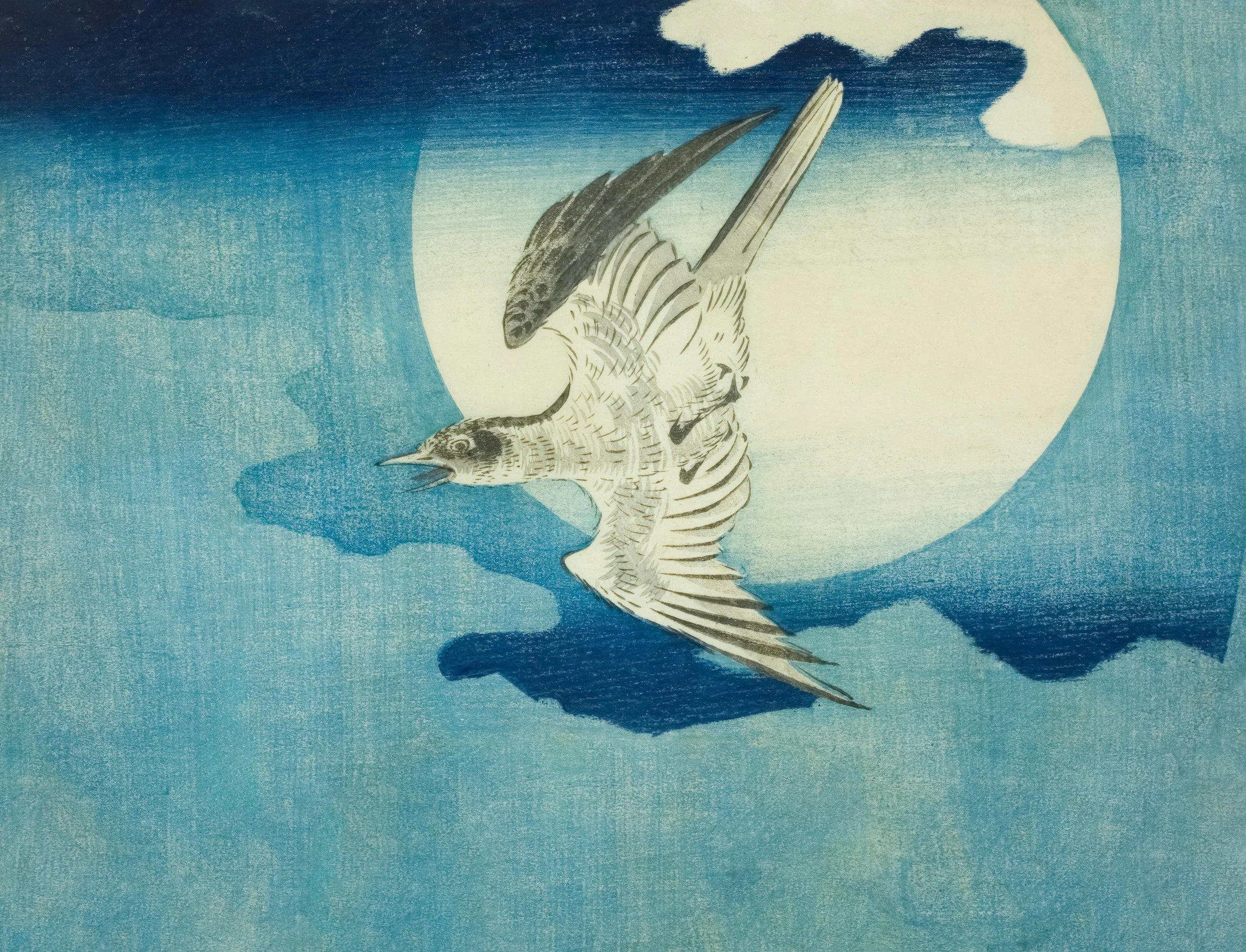 Chiaroscuro of a Falling Eagle.