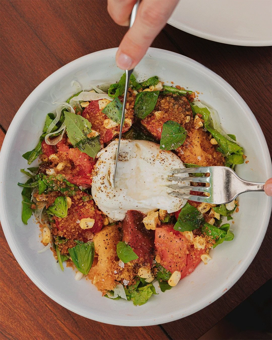 Take a peak through the menu at @ilbraccorestaurant through my lens… or something edgy to say.
The team had me out to refresh some imagery and photograph what felt like 90% of the menu.
The space, the food and the team are so photogenic. En
