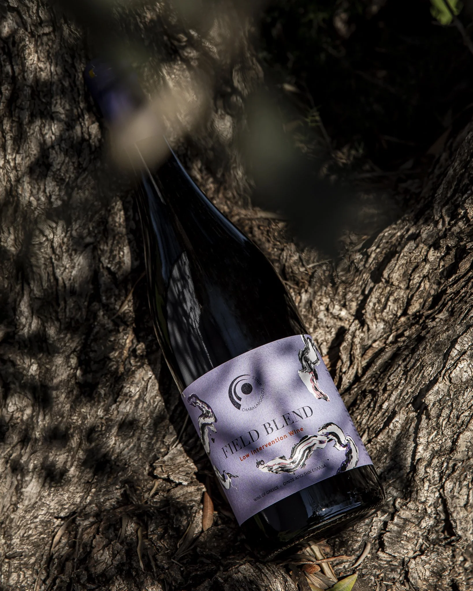 Photography of a bottle of wine on a tree.