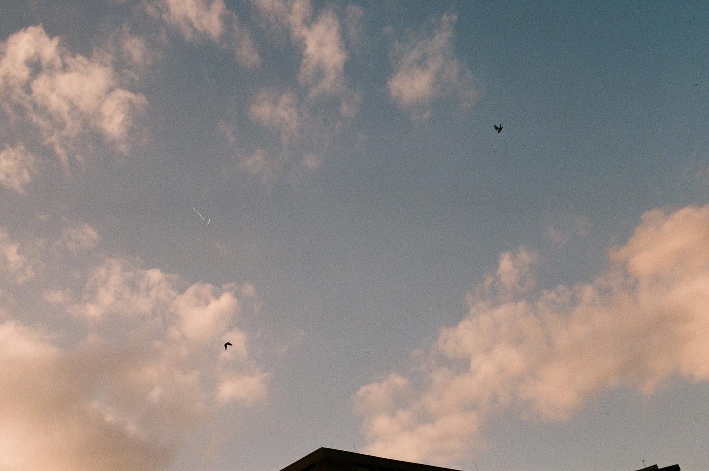 Jellyfish - Fiction Film - In Production