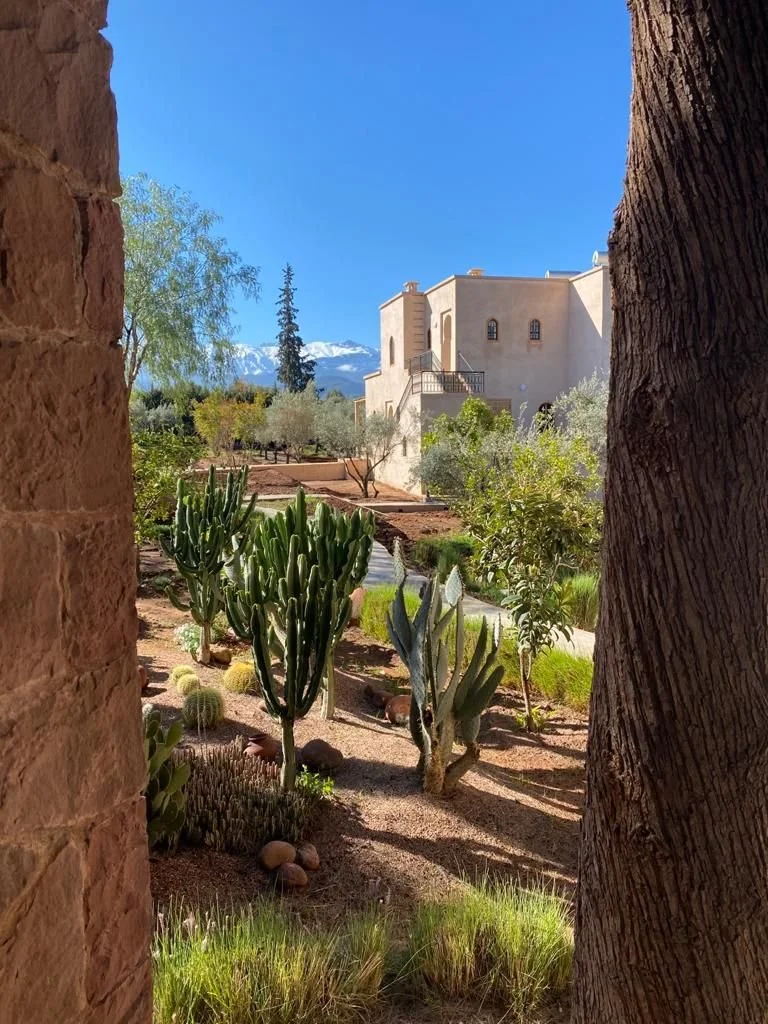      

 
   An Autumn Invitation    Autumn Yoga Retreat at Bab Zouina, Morocco    September 18–23, 2027 | Five Nights    
 




















  
  



    










































  

    
  
     

      

      
         
      