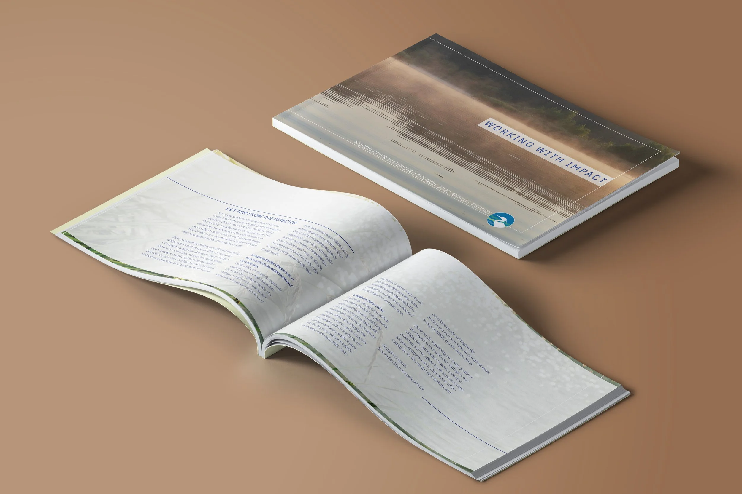 Non-Profit Annual Report