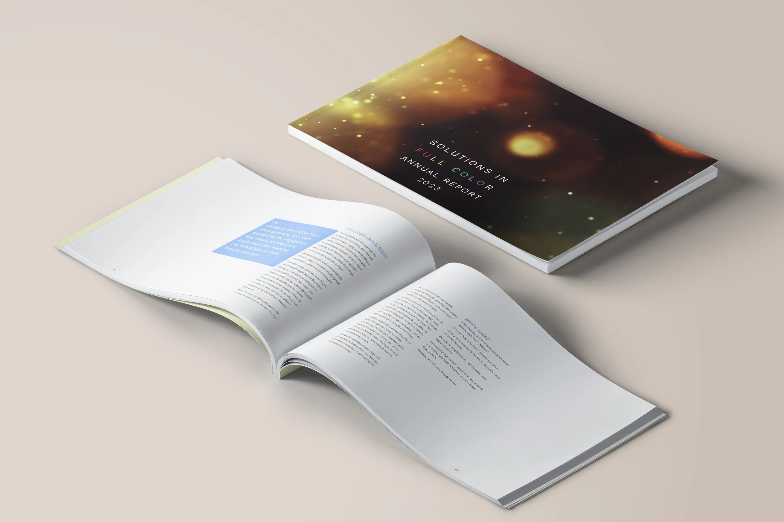 Corporate Annual Report