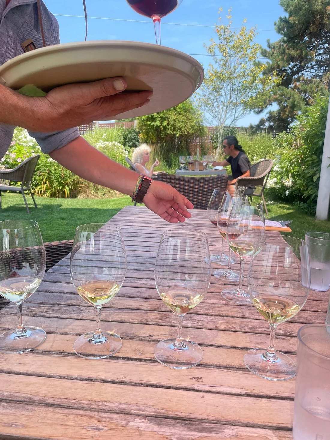 Prince Edward County Wine Tour