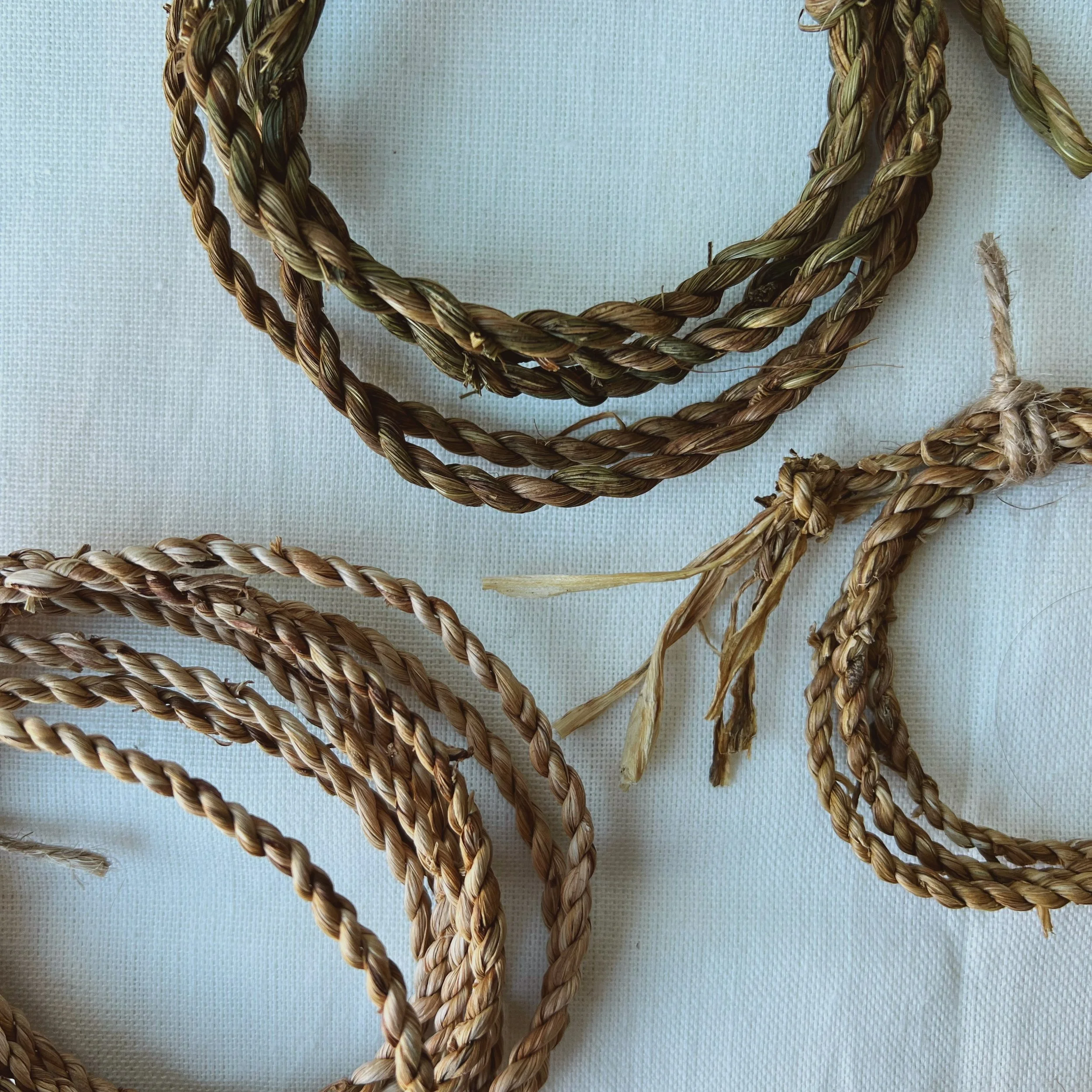 CORDAGE 2.JPG