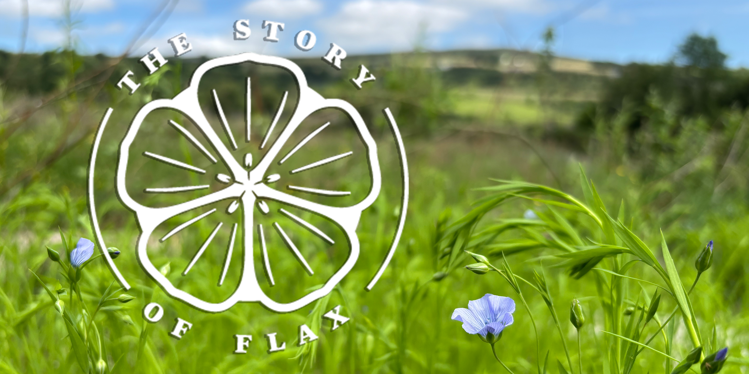 Festival of Flax