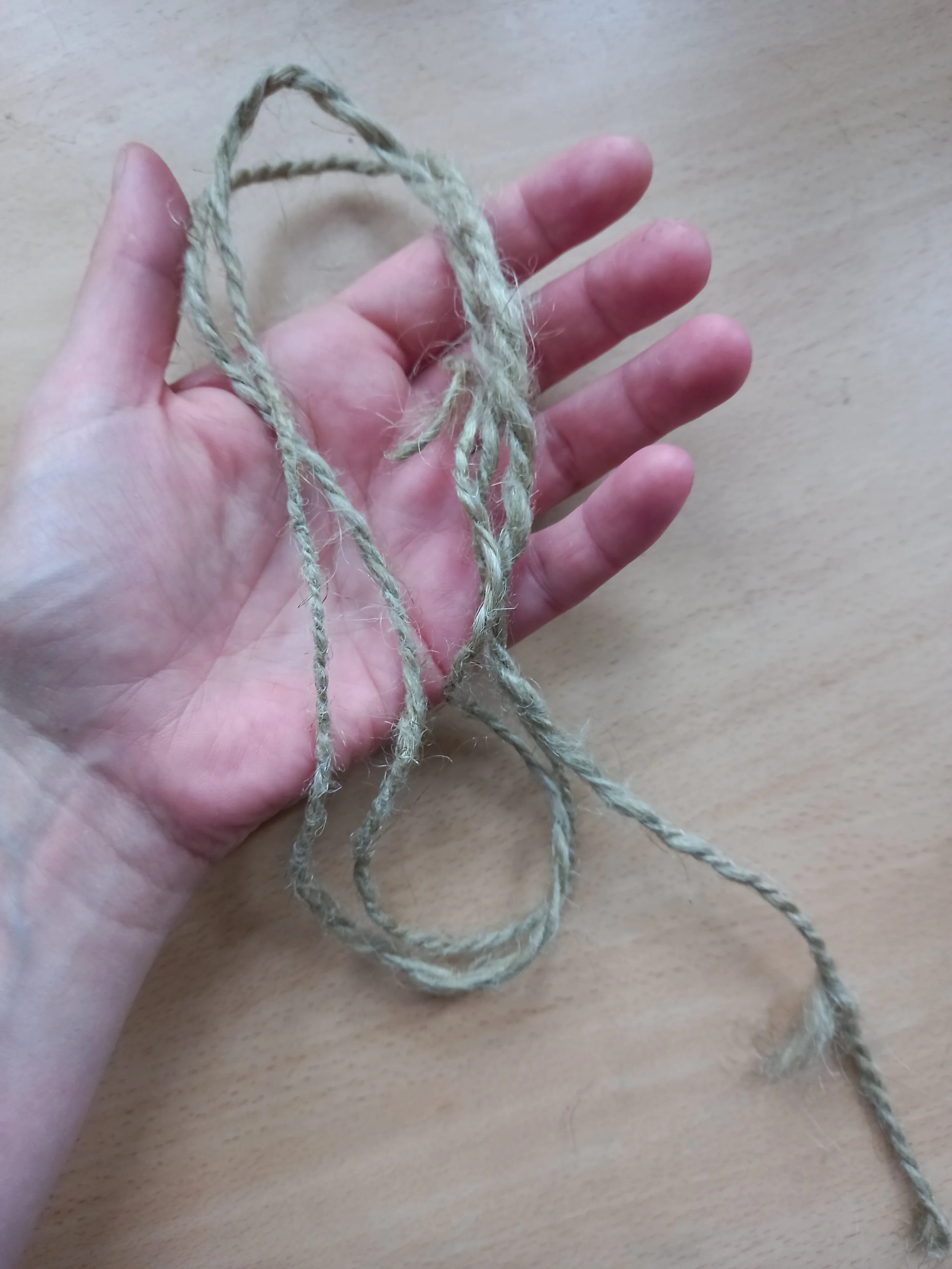 A hand holding some spub flax fibres to make cord for a bracelet