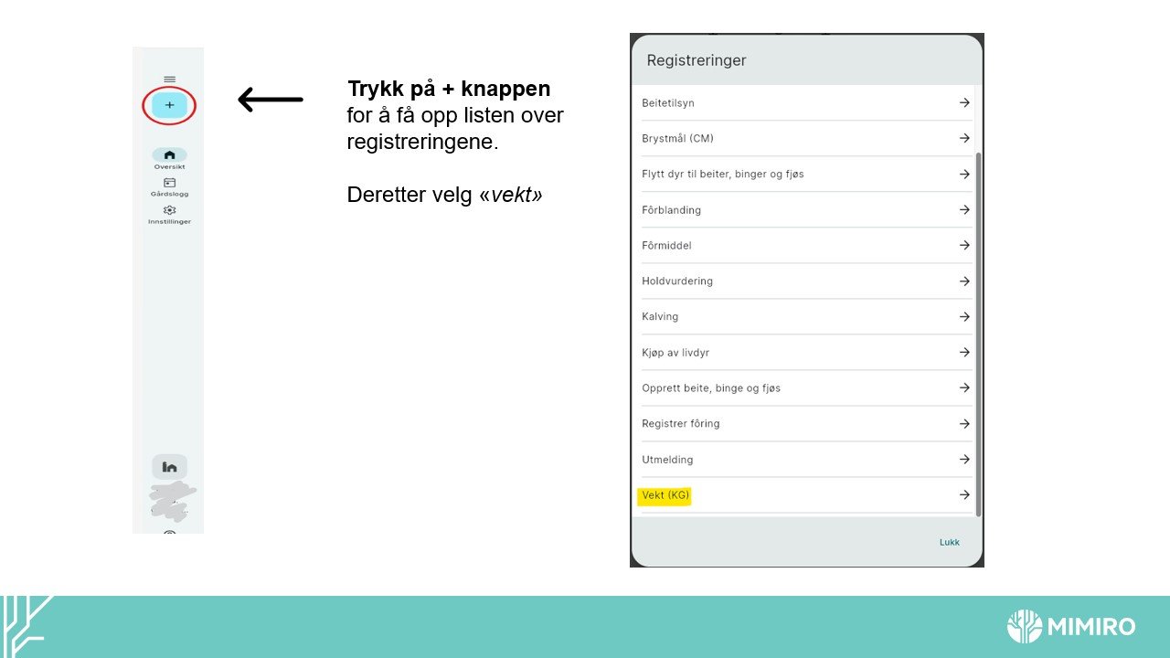 Slide2.jpg