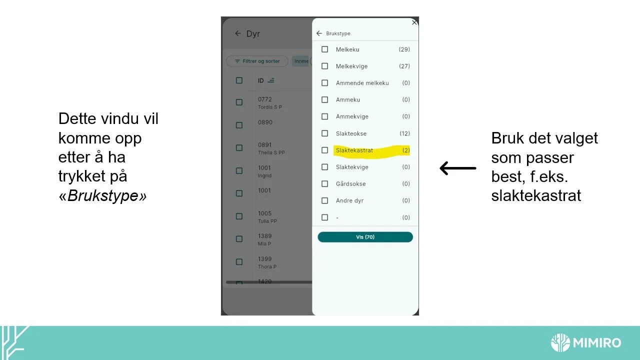 Slide6.jpg