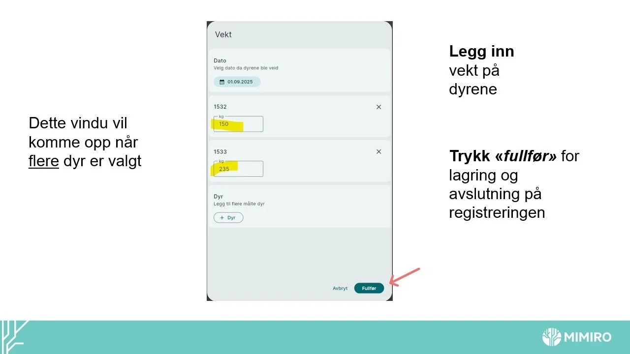 Slide8.jpg