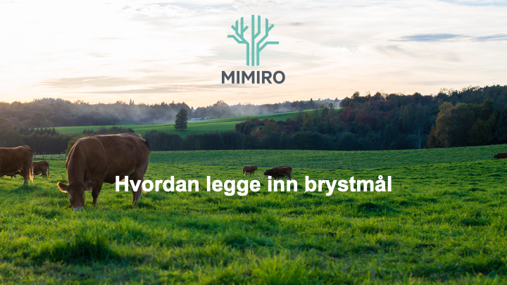Lysbilde1.png