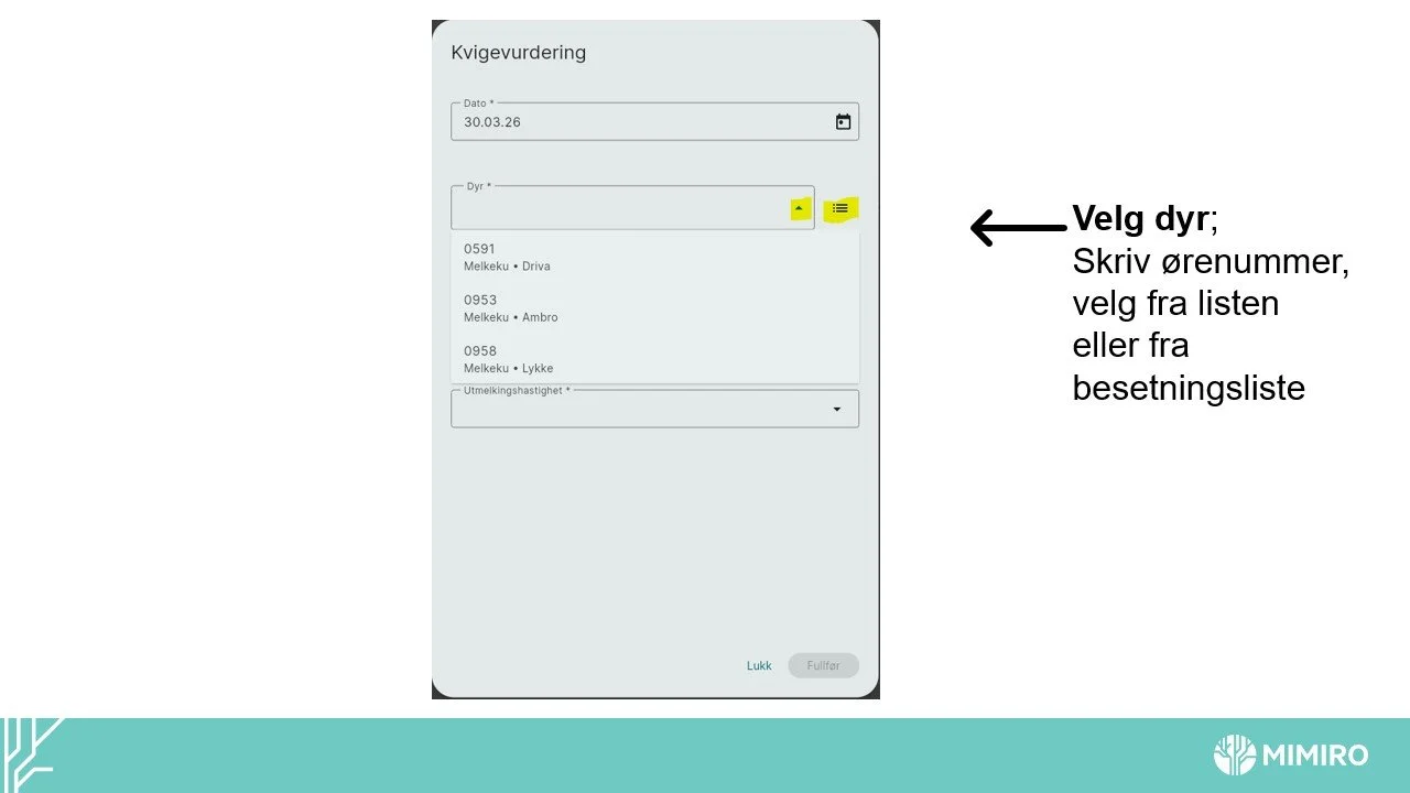Slide4.jpg