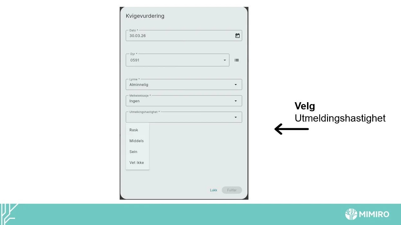Slide7.jpg
