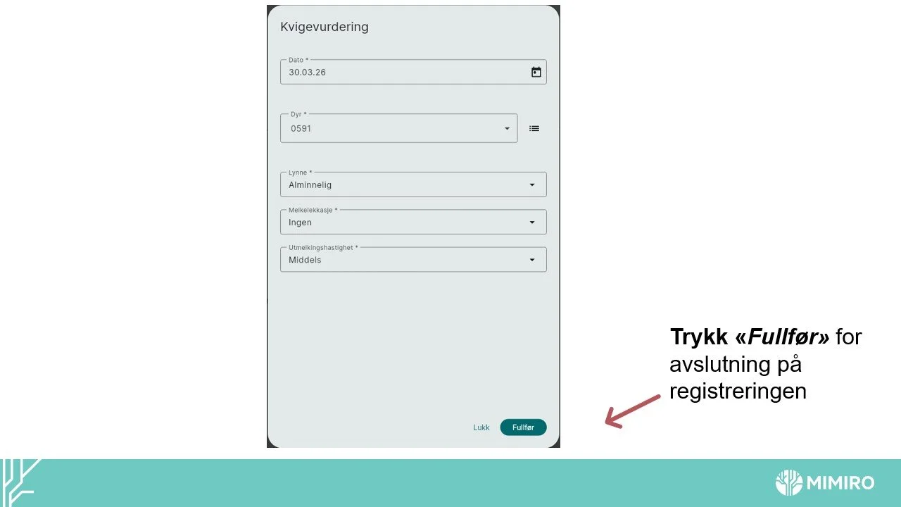 Slide8.jpg
