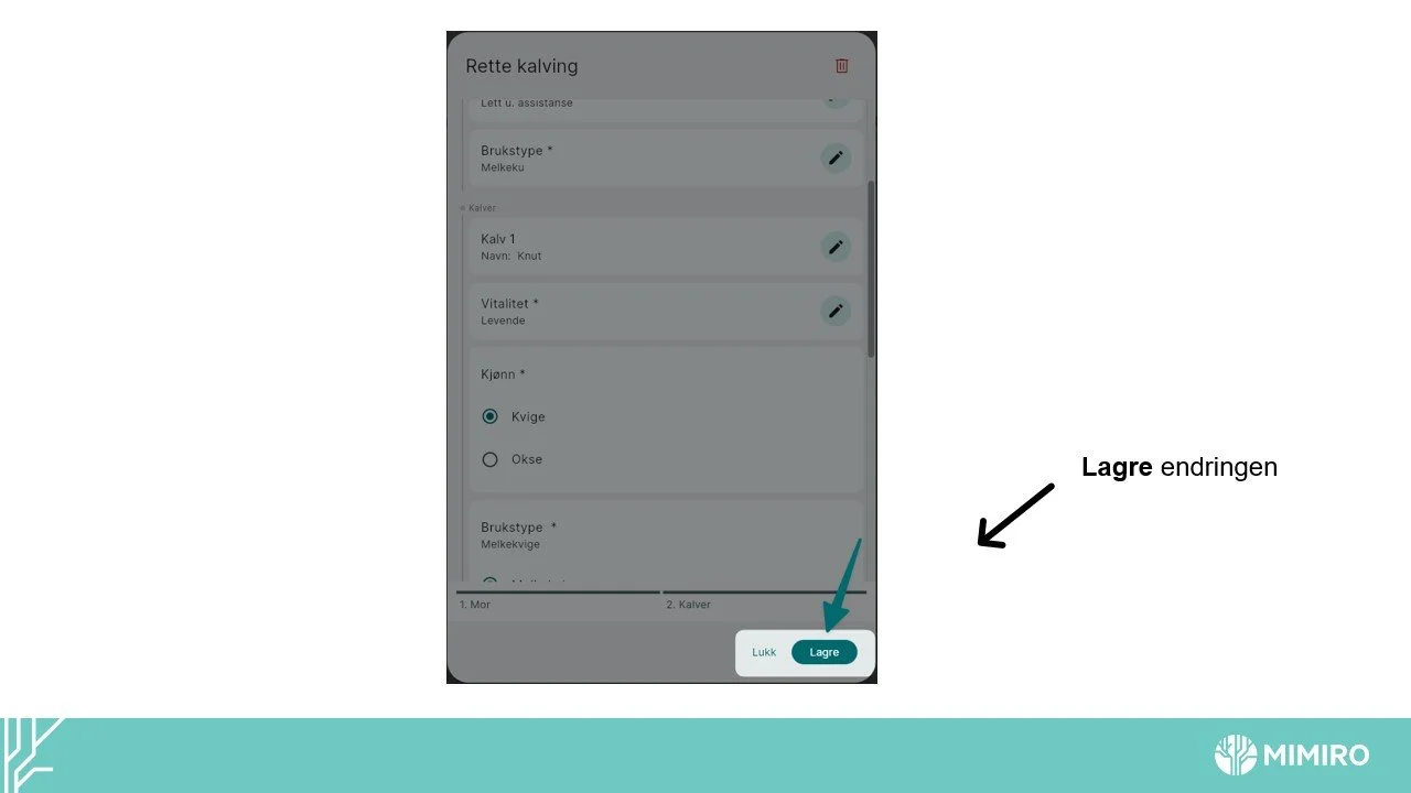 Slide8.jpg