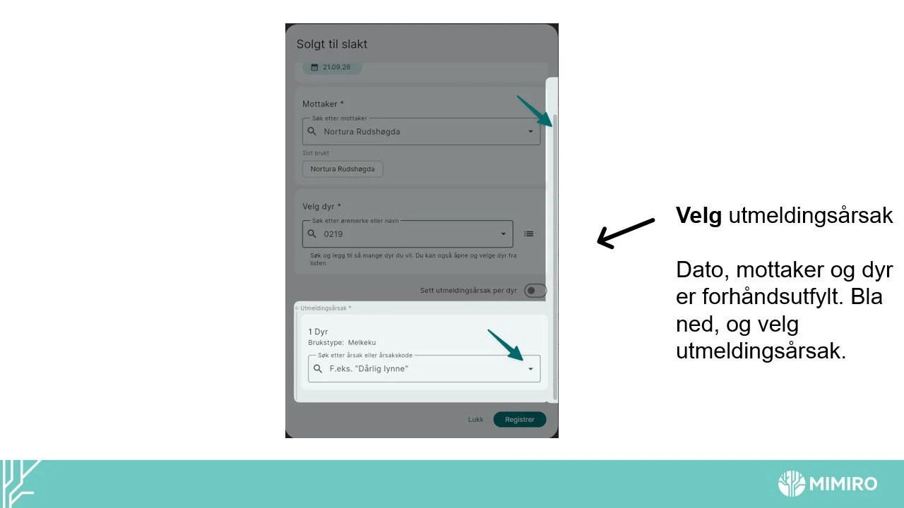 Slide5.jpg