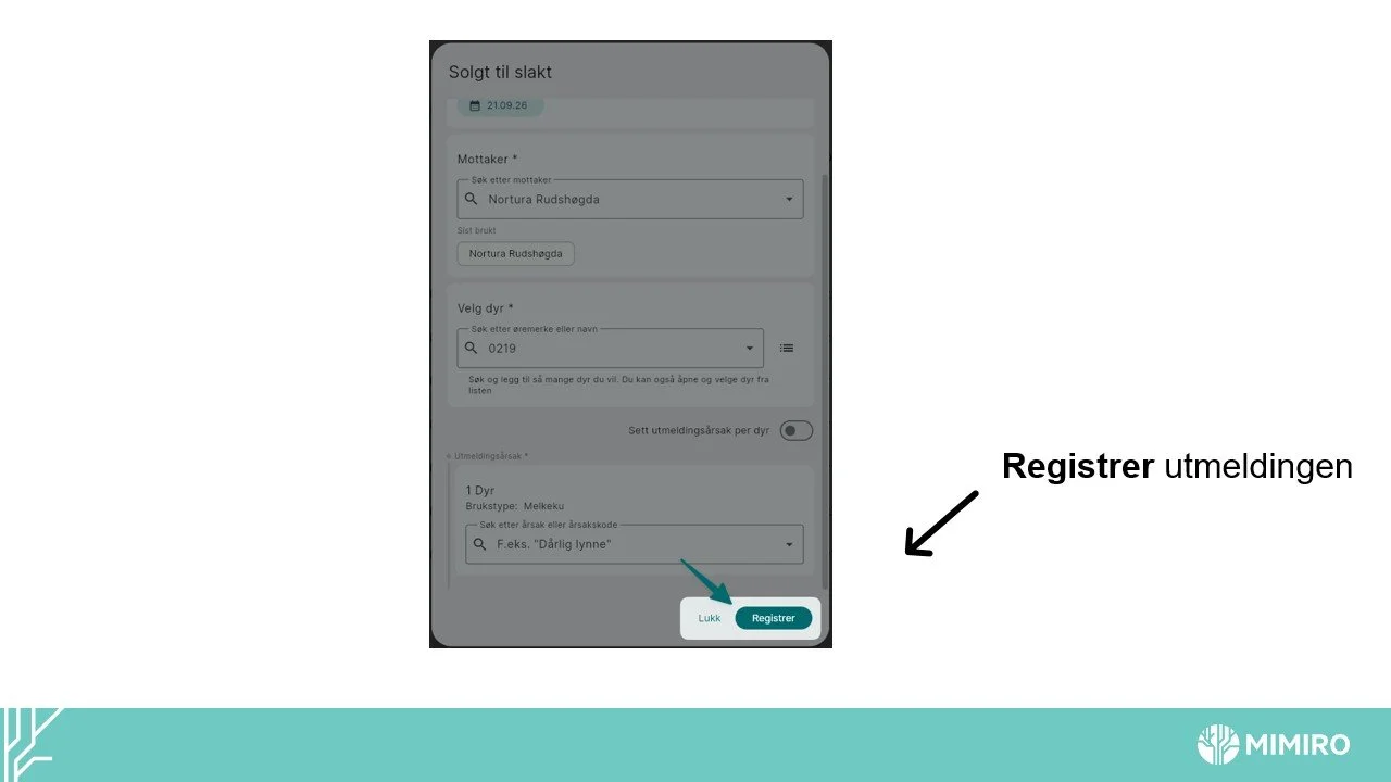 Slide6.jpg