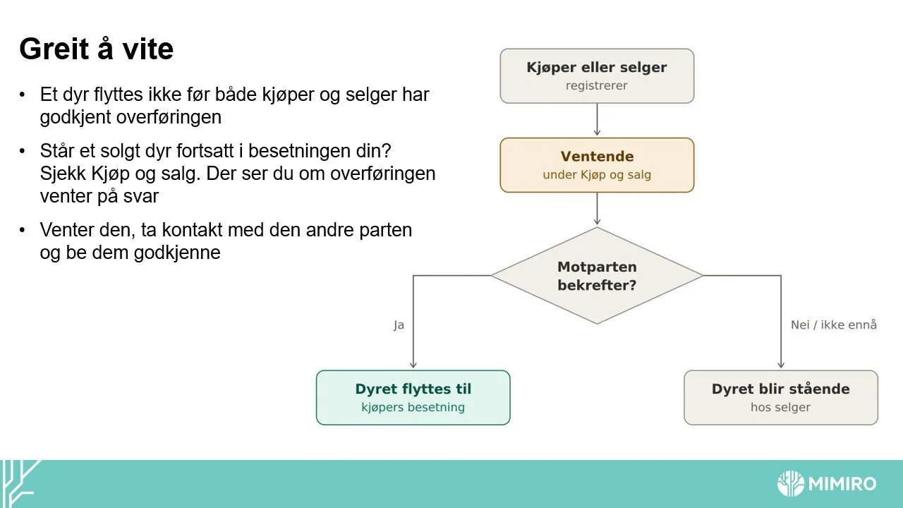 Slide6.jpg