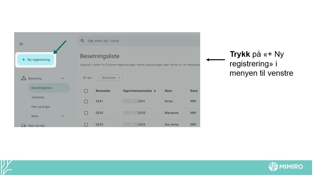Slide2.jpg