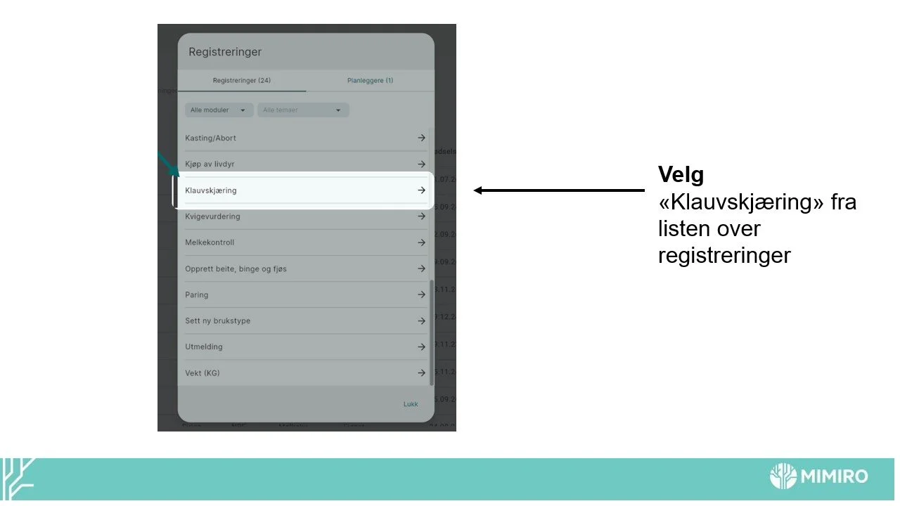 Slide3.jpg