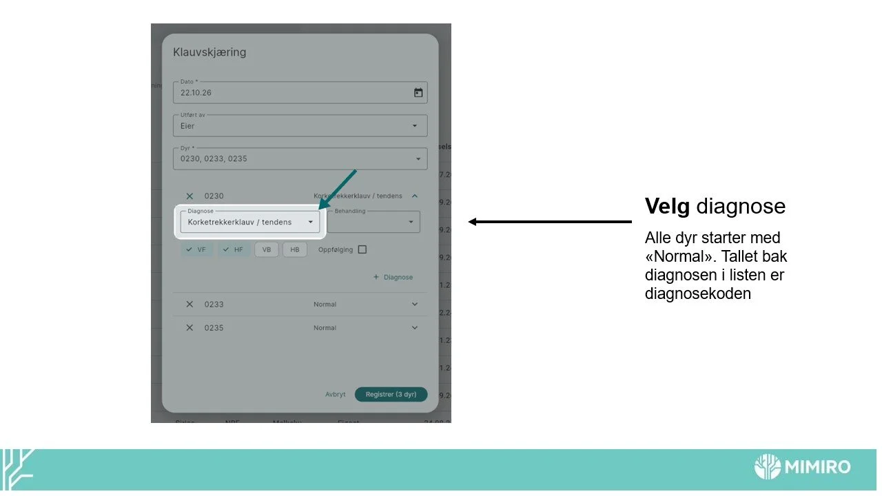 Slide8.jpg