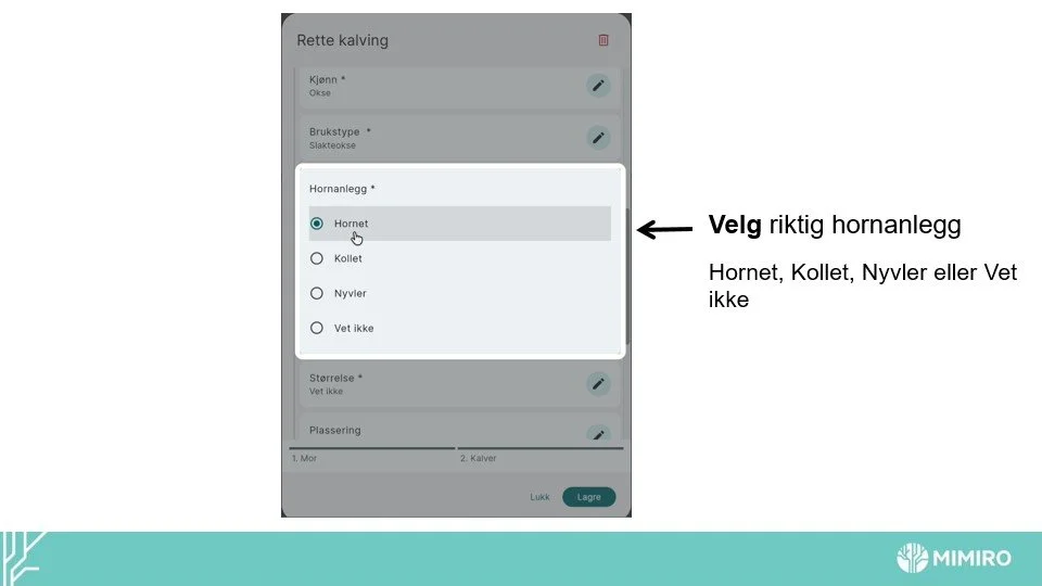 Slide7.jpg