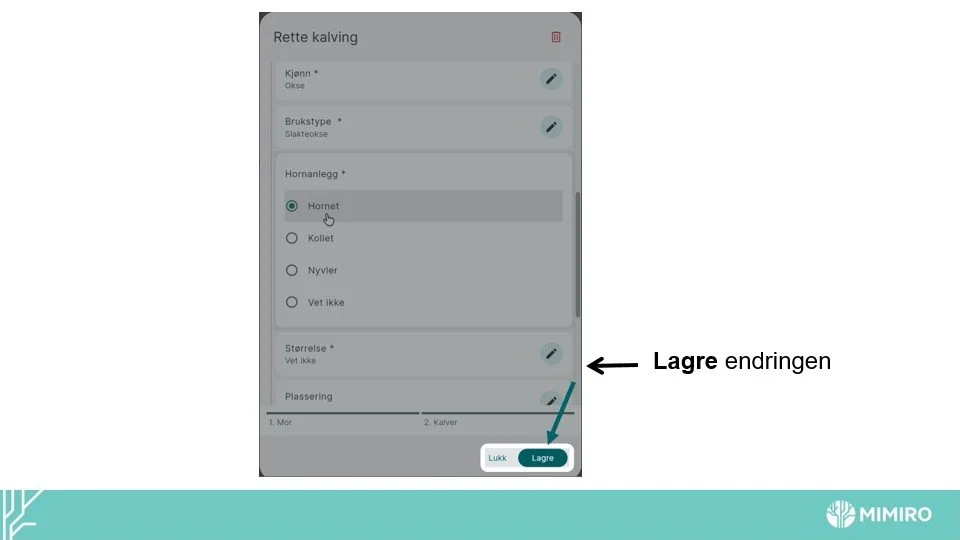 Slide8.jpg