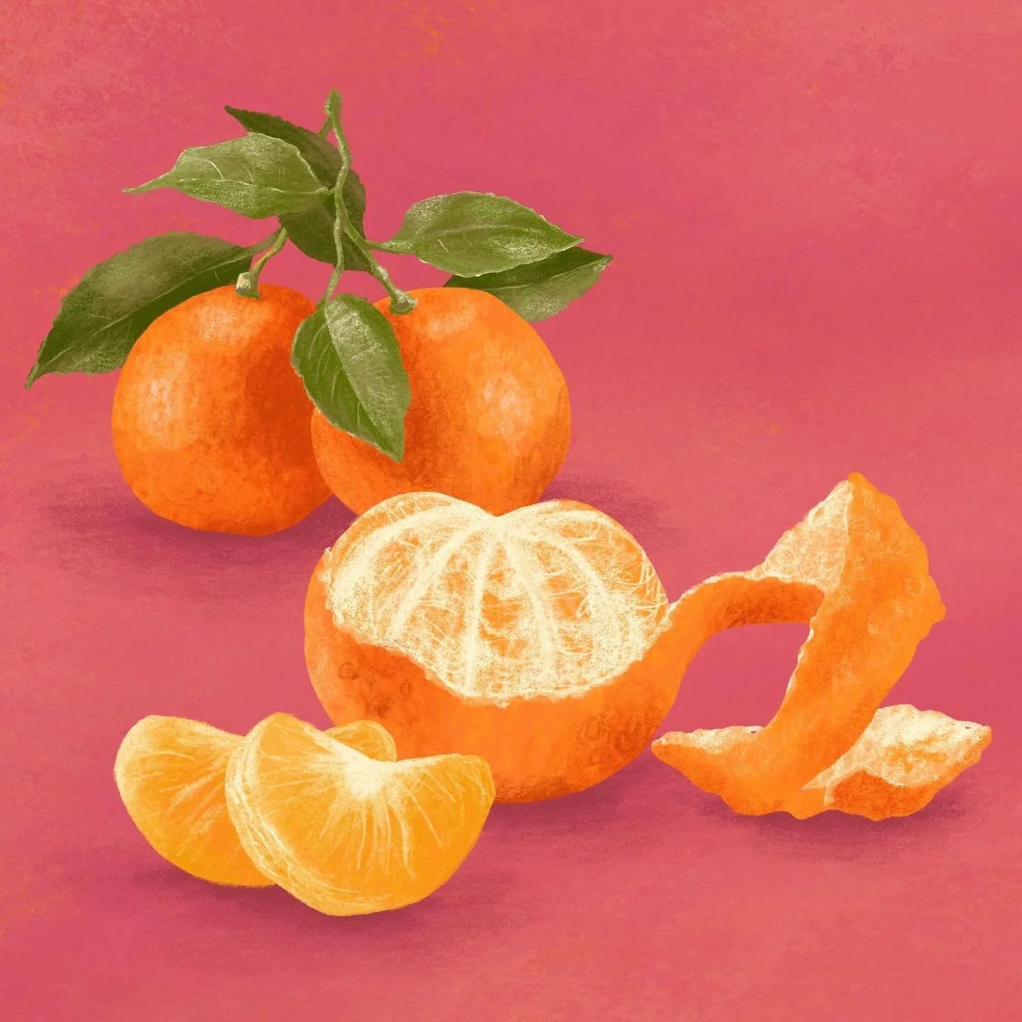 🍊 Christmas 2024 🍊I hope you&rsquo;re all having a good one! I&rsquo;ve been intensely quiet on here as I&rsquo;ve been working on something pretty special. Here&rsquo;s a sneak peek (which strategically gives absolutely nothing away, but I am so f