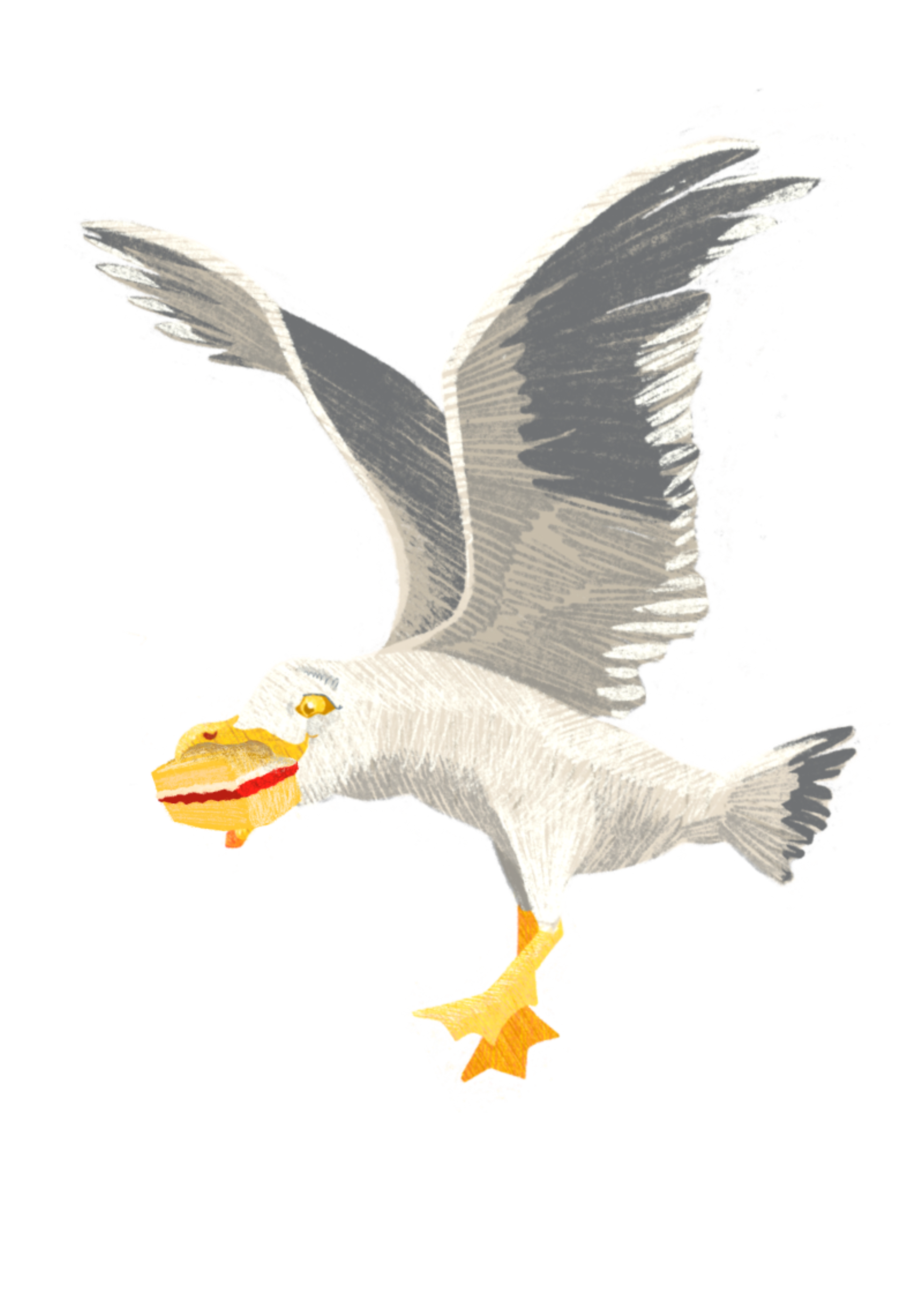 Naughty seagull.png