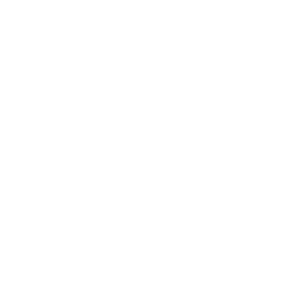 Application Security