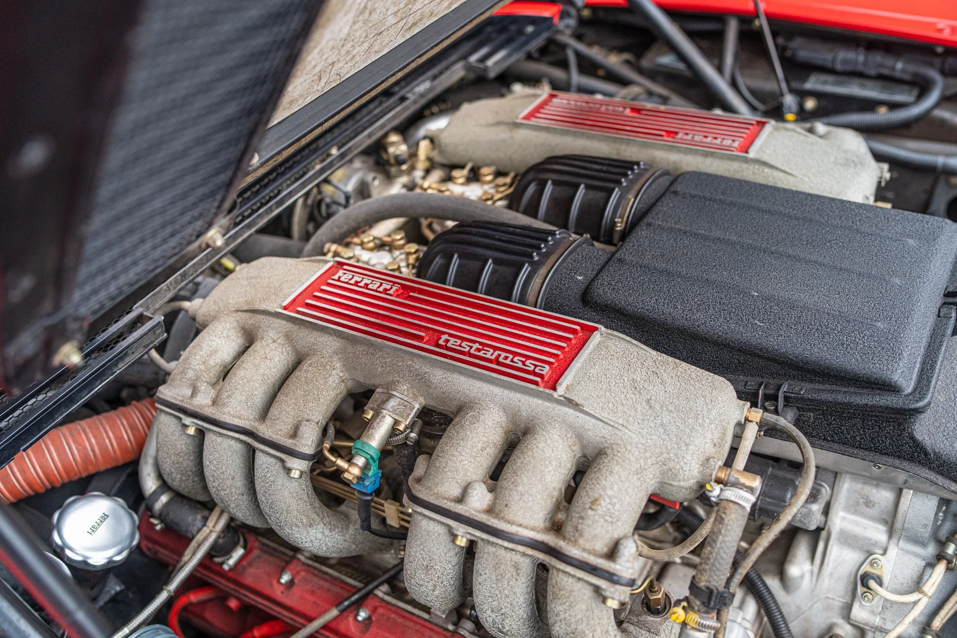 TESTAROSSA_90465_30.jpg
