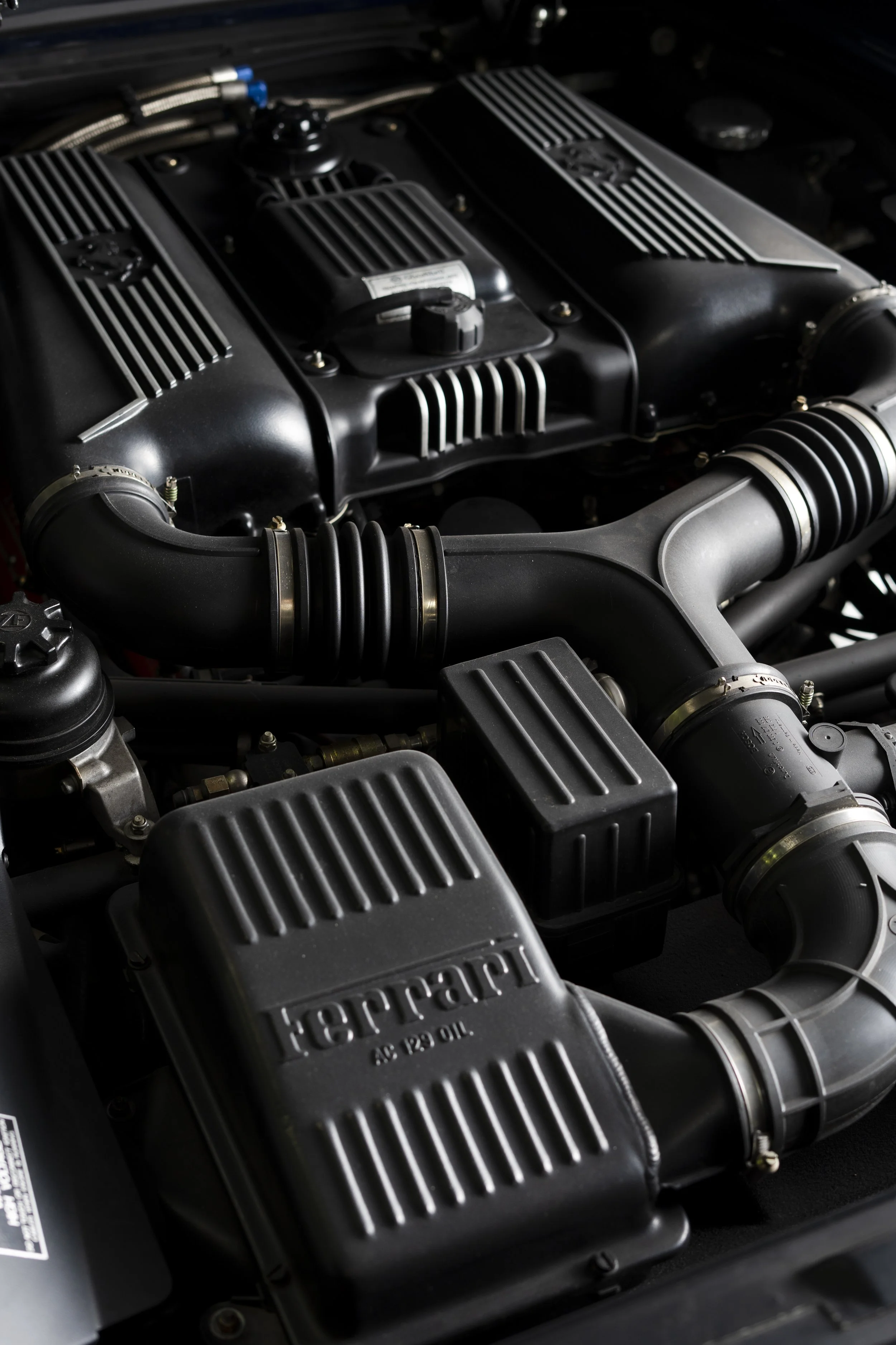 F355 SPIDER_ 113863_153.jpg