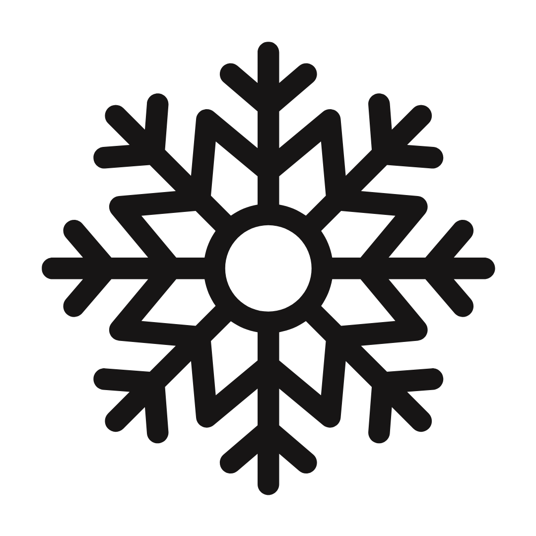 Black snowflake icon on white background.