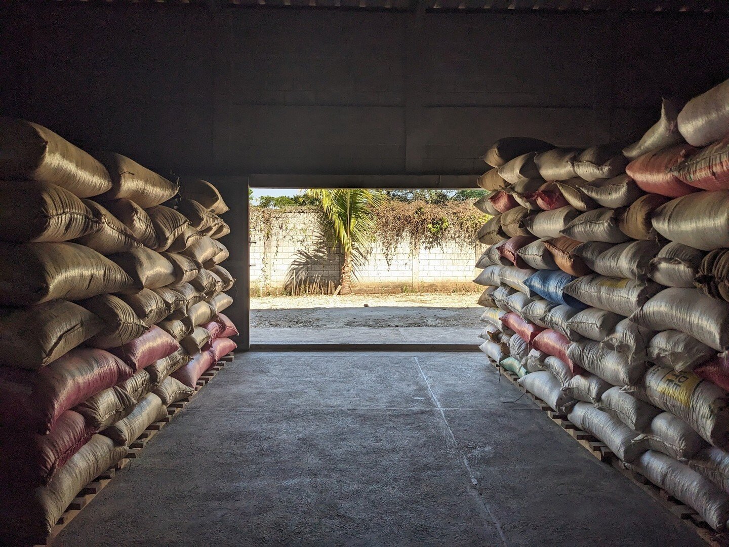 Our dry mill in Guatemala is now starting to fill up with coffees in parchment, ready to be milled and shipped!⁠
⁠
This year the harvest has been slightly delayed due to cooler weather conditions but now coffee is starting to hit our warehouse in ful