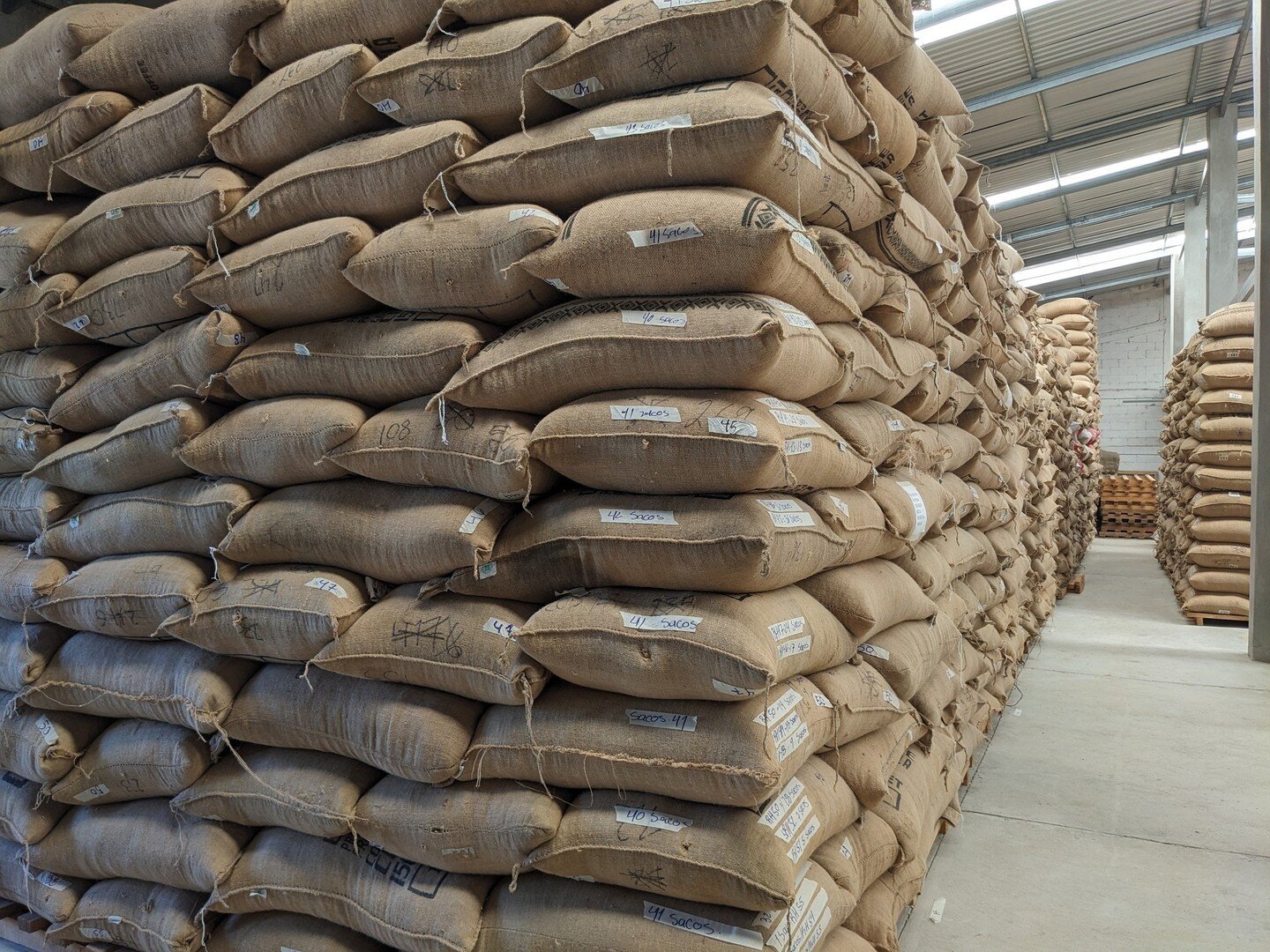 In 2023 we added a large building to our existing mill storage. All of this extra space was sorely needed for the dry milled coffee to rest before getting packed in a container and shipping across the ocean.