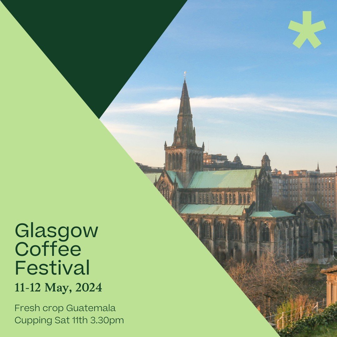 We're excited for this years @glasgowcoffeefestival!⁠
⁠
Tom is heading to Glasgow to share some of the freshest lots to land in the UK from Guatemala 🇬🇹⁠
⁠
We'll be cupping at 3.30pm Saturday May 11th and available throughout the show so DM us if y