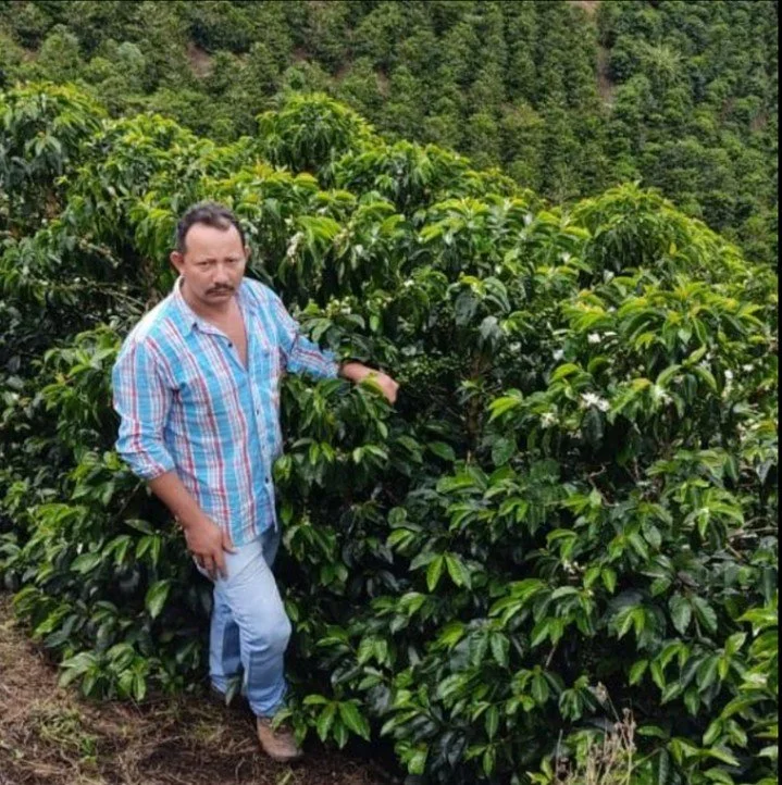 Have you tried our Colombian microlots yet? Now available at the Annex in Oakland, but not for long - these beautiful coffees have been flying out the door. Pictured here is Alexander Vargas Osorio of Palestina, Huila, whose lot this year blew us awa